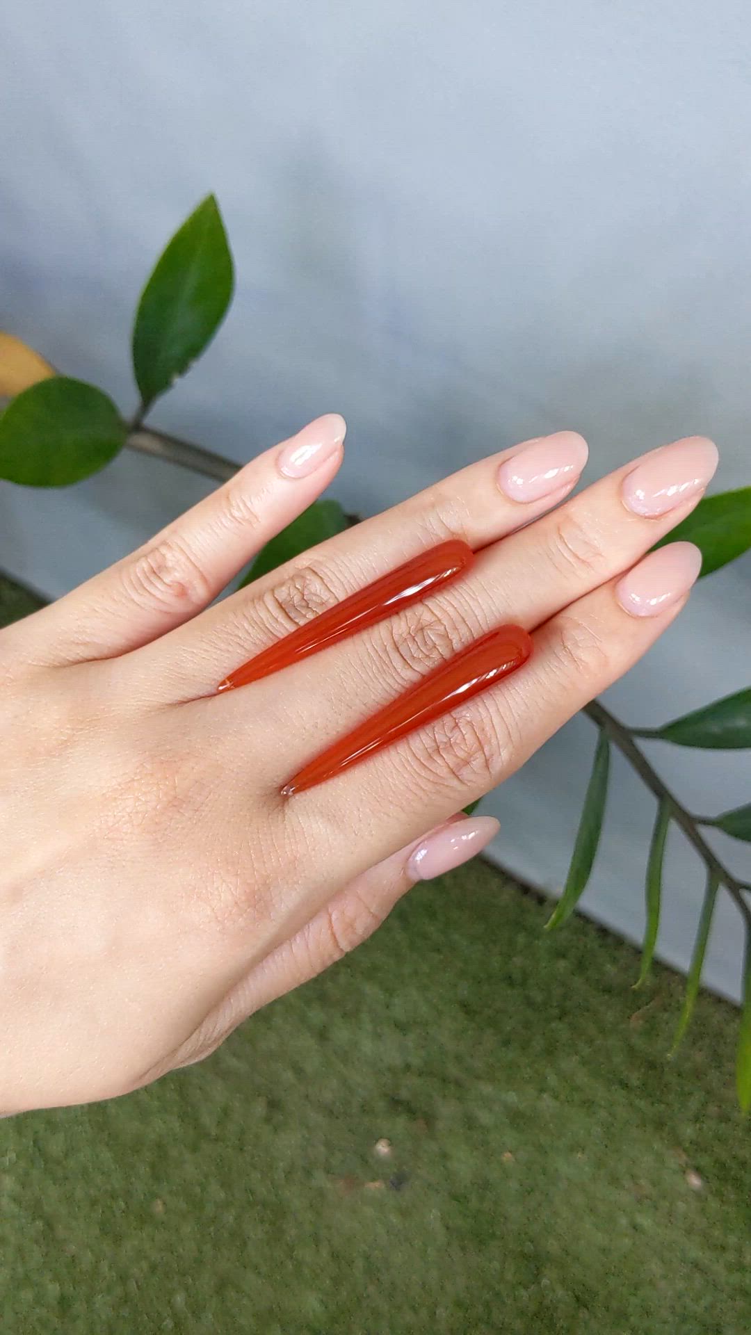 28.33 Ct.Tw.Total Carat Weight Reddish Orange Carnelian Pair from India Size Video