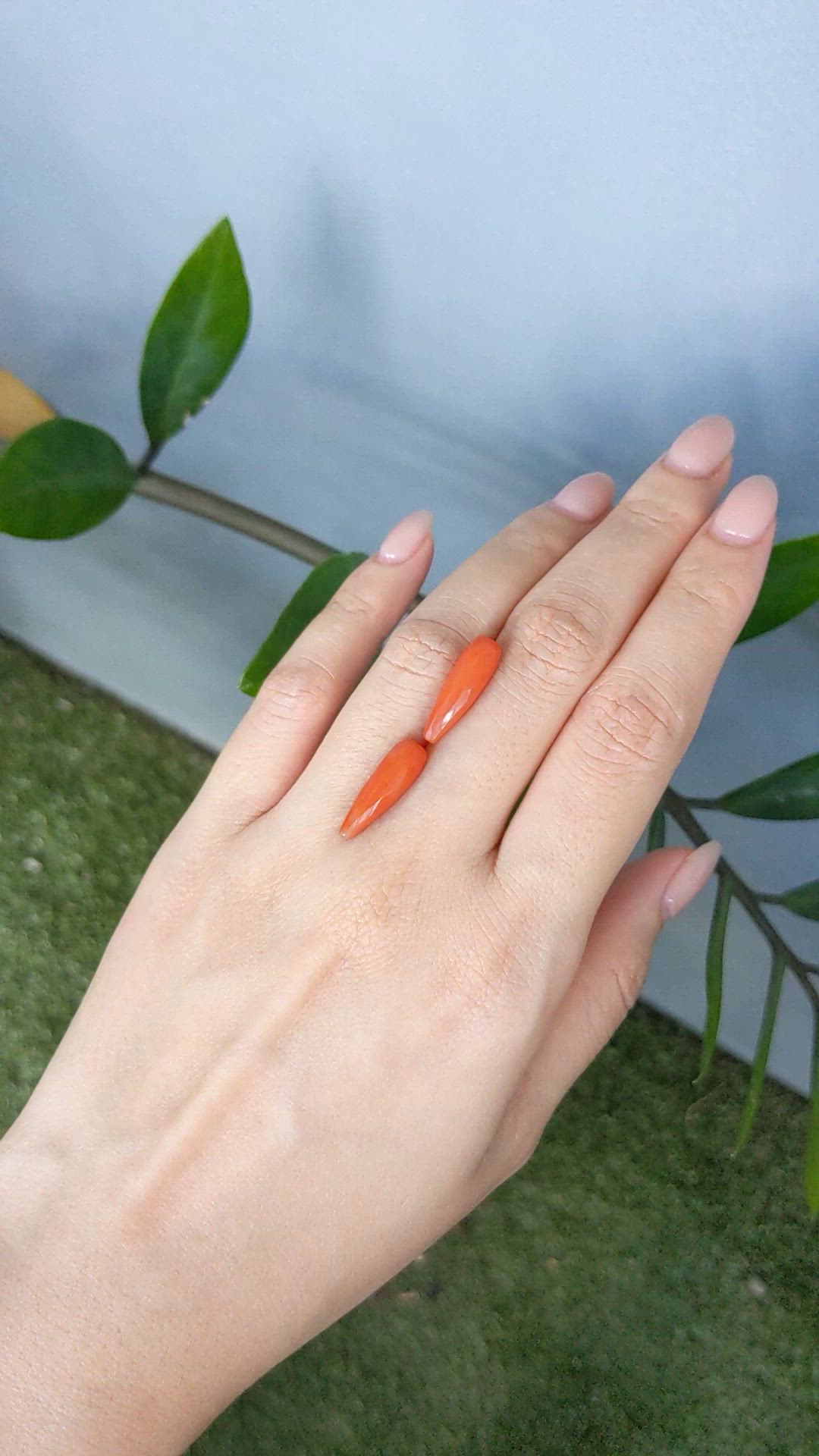 8.36 Ct.Tw.Total Carat Weight Salmon (Orange) Coral Pair from Italy Size Video