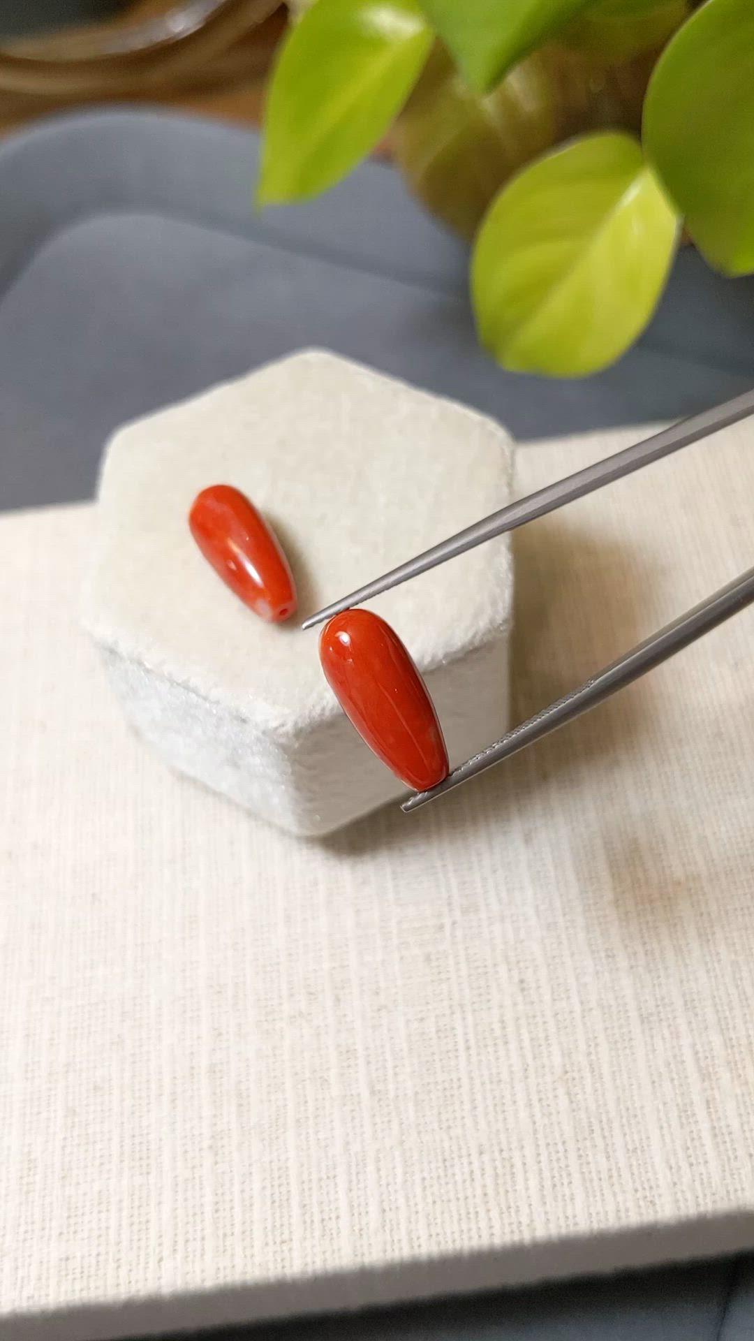 13.18&nbsp;Ct.Tw.Total Carat Weight Salmon (Orangish Red) Coral Pair from Italy Size Video