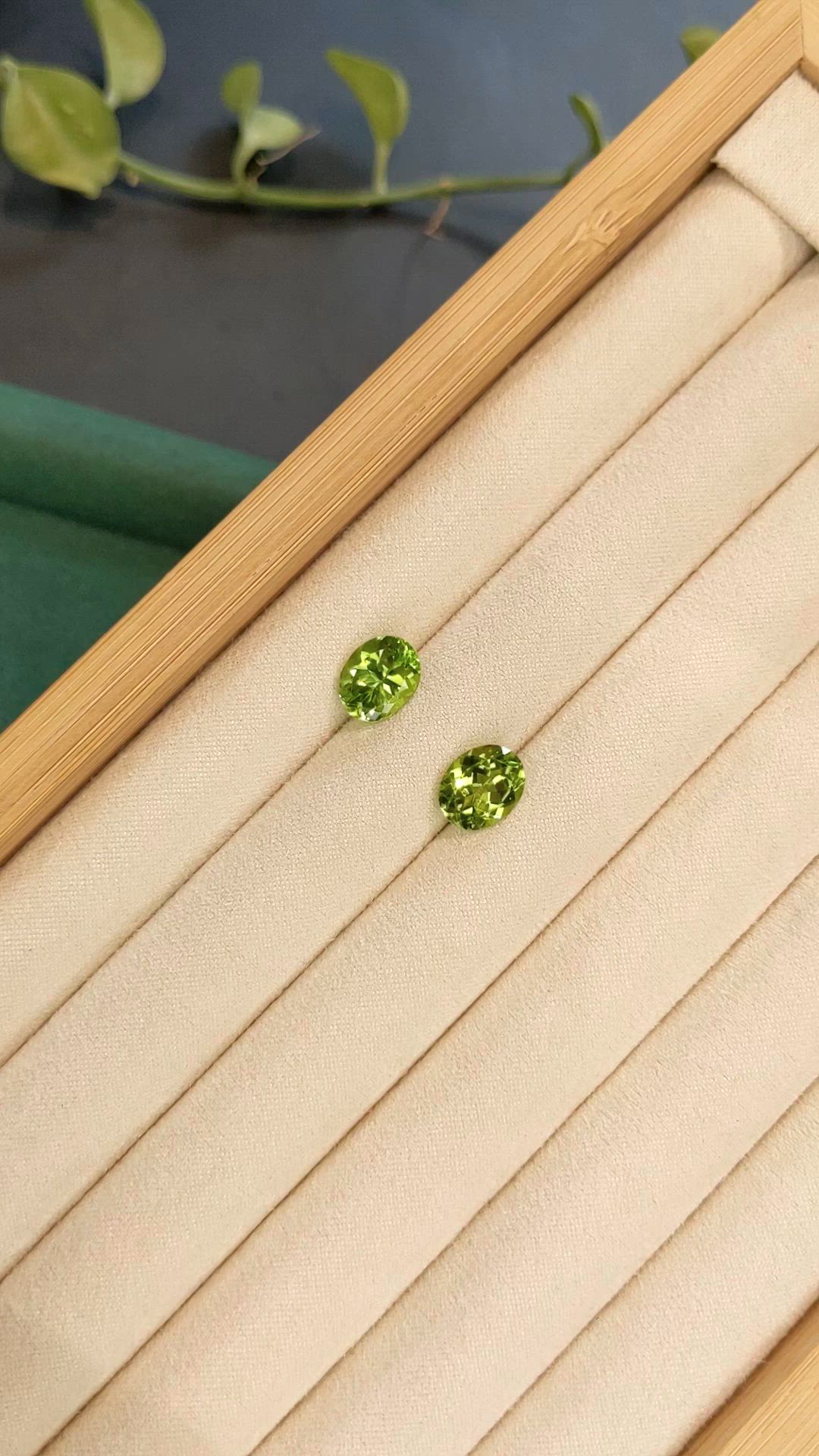5.91 Ct.Tw.Total Carat Weight Yellowish Green Peridot Pair from Burma (Myanmar) Size Video