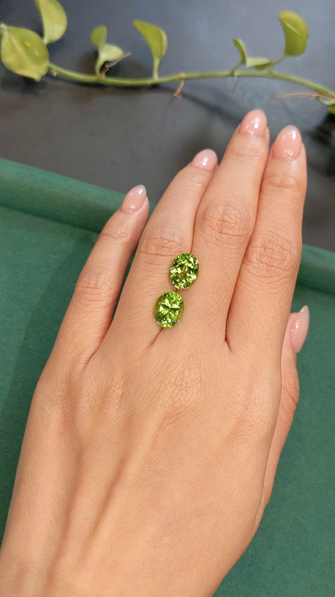 5.91 Ct.Tw.Total Carat Weight Yellowish Green Peridot Pair from Burma (Myanmar) Size Video