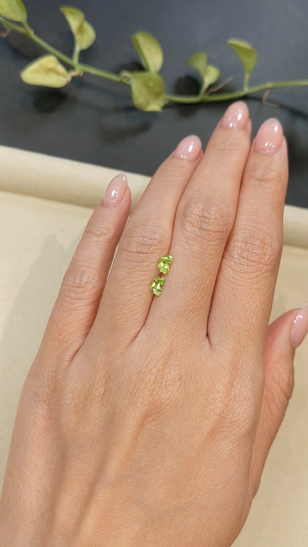 0.73 Ct.Tw.Total Carat Weight Green (Lime Green) Peridot Pair from Burma (Myanmar) Size Video