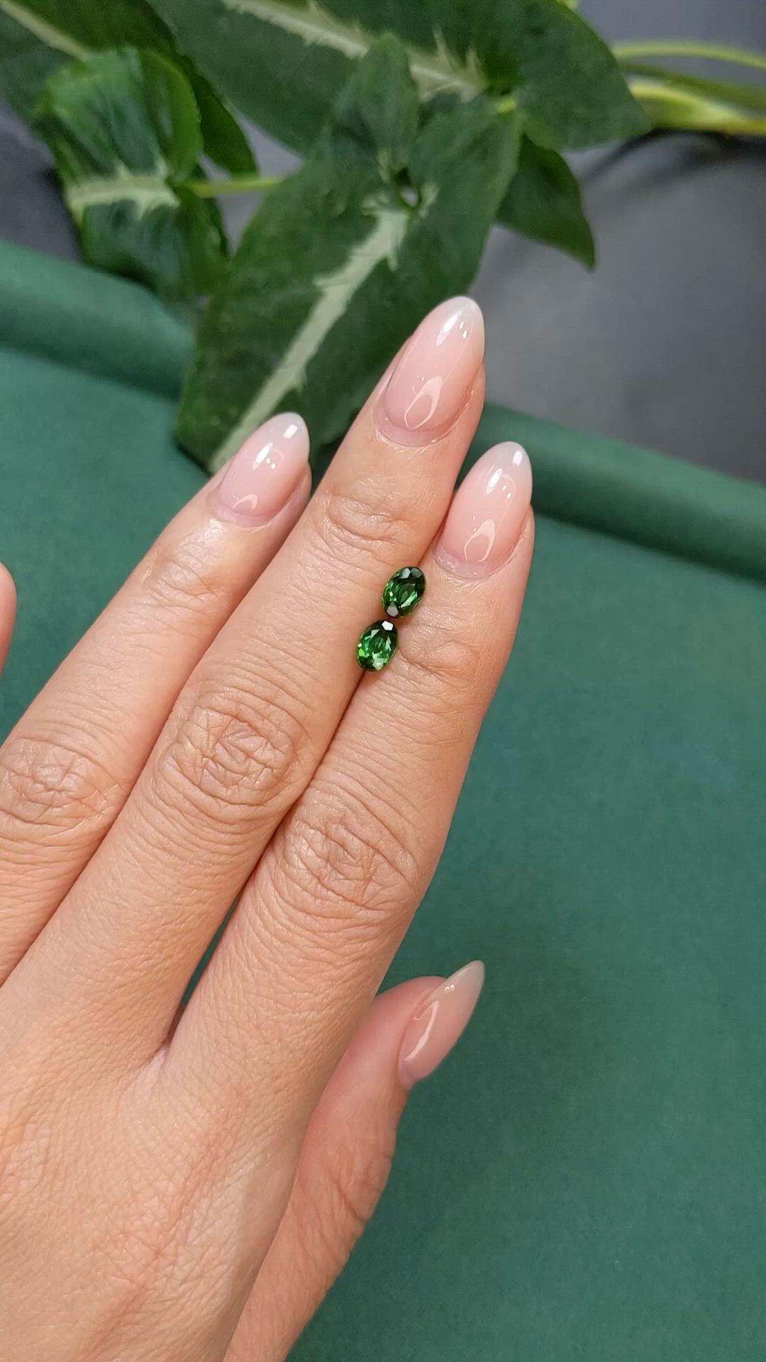 1.13 Ct.Tw.Total Carat Weight Green Tourmaline Pair from Brazil Size Video