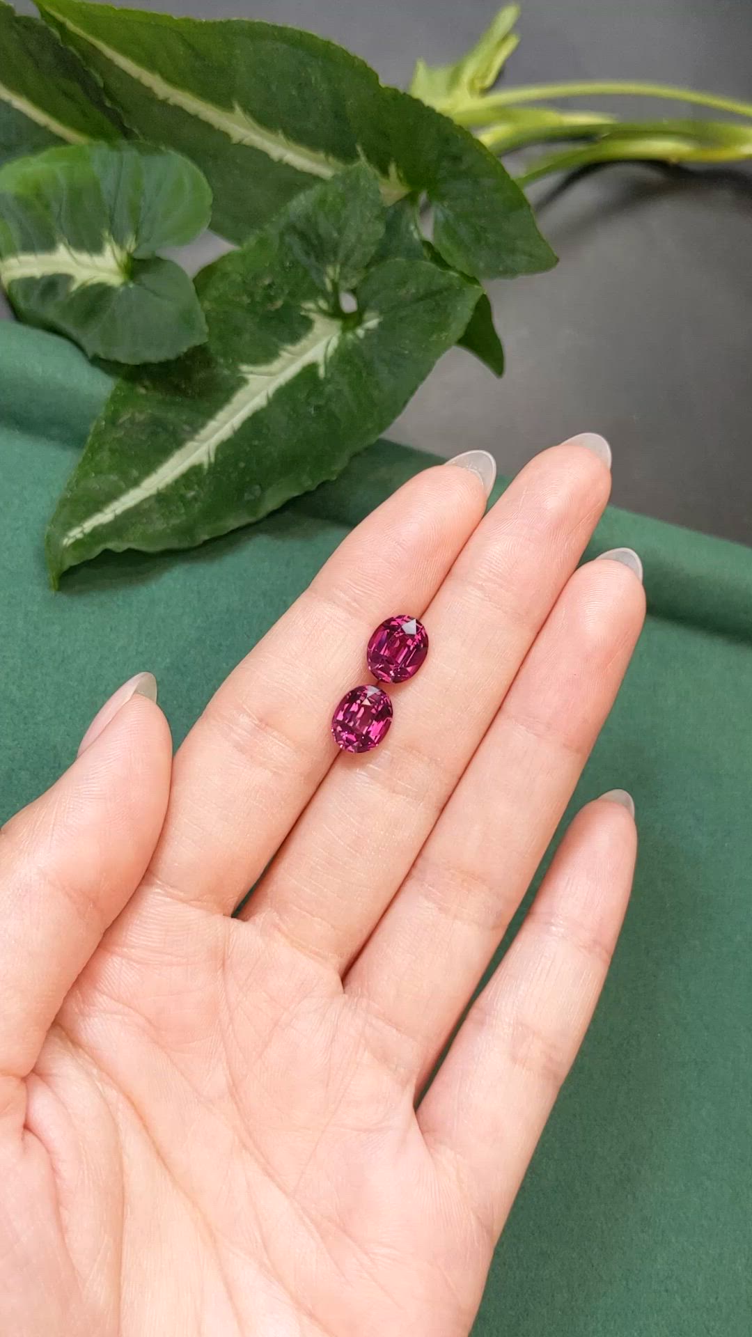 6.00&nbsp;Ct.Tw.Total Carat Weight Purplish Pink Garnet Pair from Tanzania Size Video