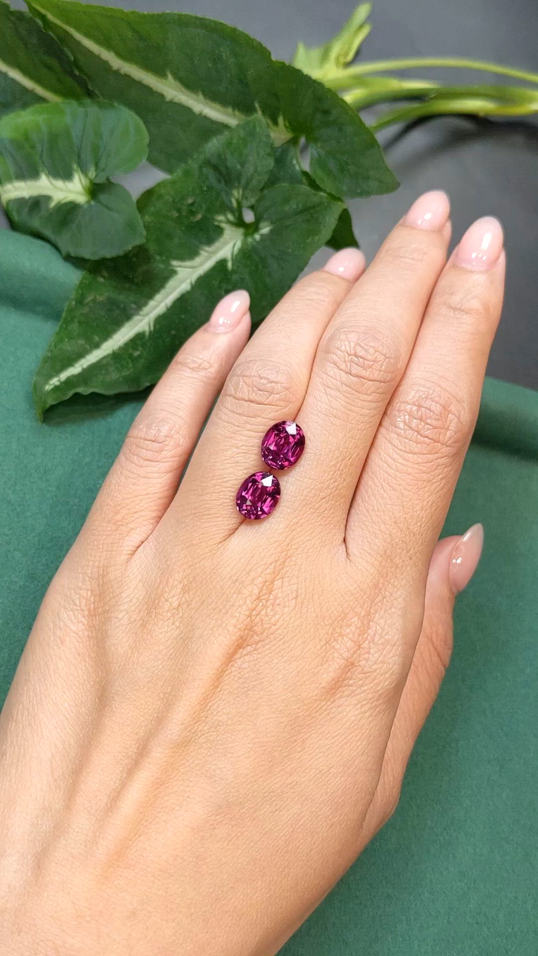 6.00&nbsp;Ct.Tw.Total Carat Weight Purplish Pink Garnet Pair from Tanzania Size Video