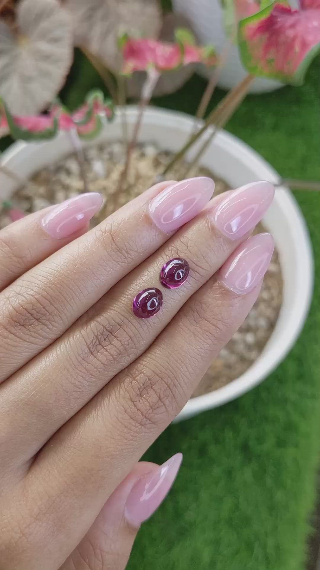 3.76 Ct.Tw.Total Carat Weight Purple Cabochon Rhodolite Garnet Pair from Ceylon (Sri Lanka) Size Video