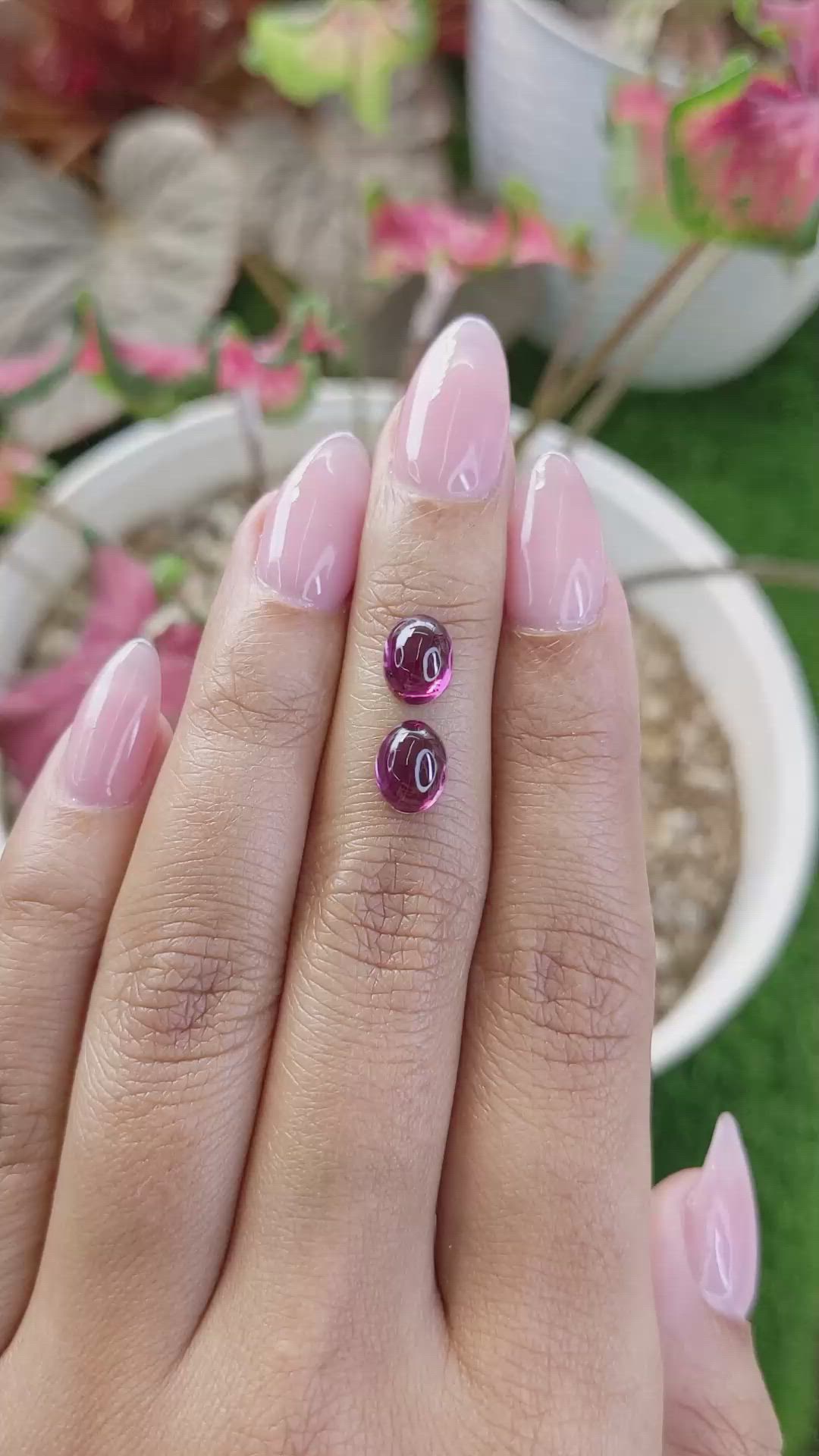 3.76 Ct.Tw.Total Carat Weight Purple Cabochon Rhodolite Garnet Pair from Ceylon (Sri Lanka) Size Video