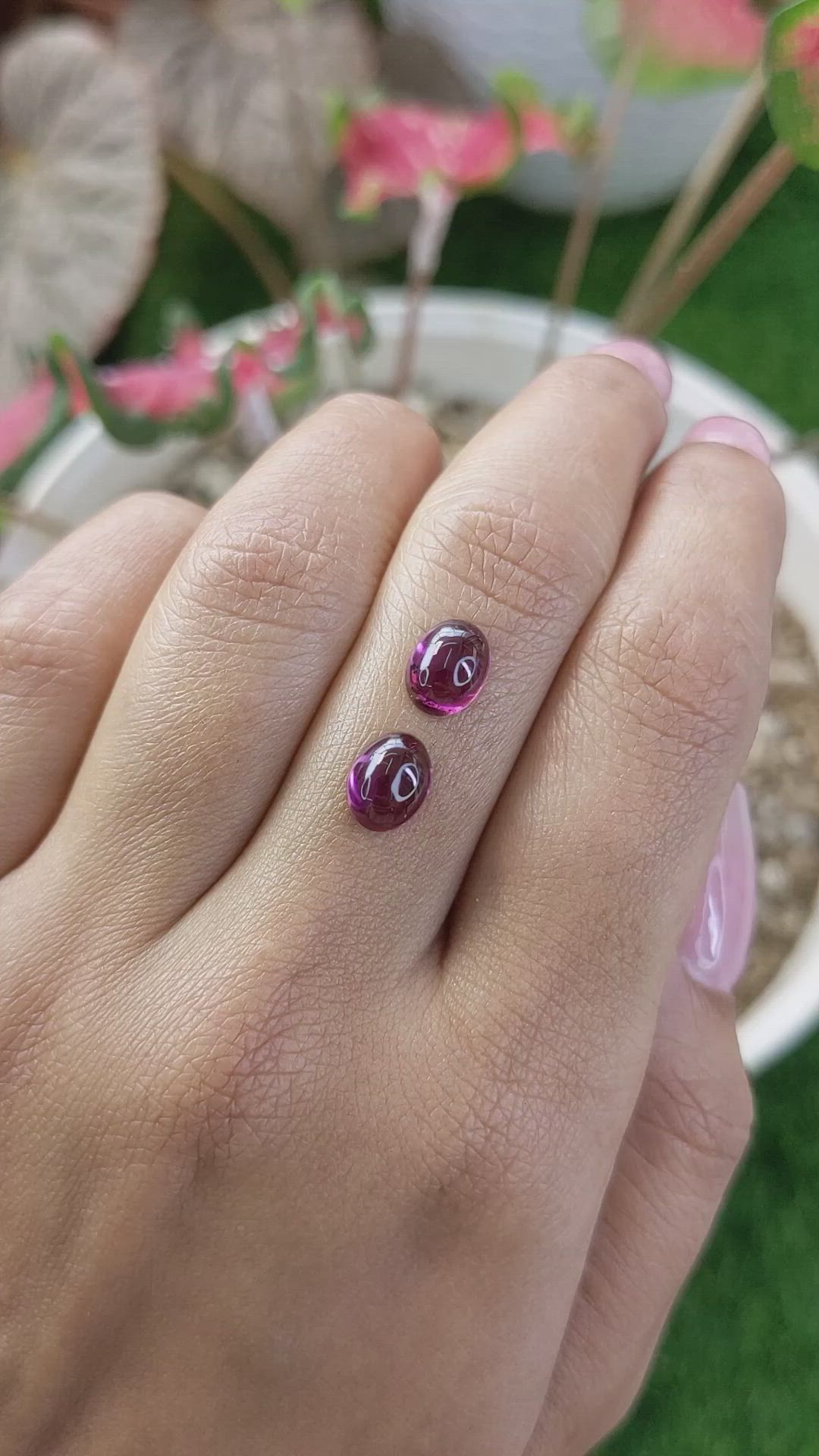 3.76 Ct.Tw.Total Carat Weight Purple Cabochon Rhodolite Garnet Pair from Ceylon (Sri Lanka) Size Video