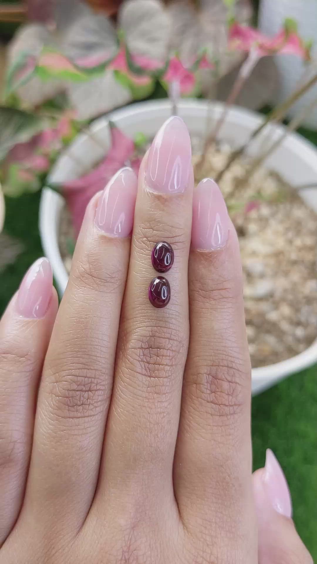 2.21 Ct.Tw.Total Carat Weight Pinkish Purple Cabochon Rhodolite Garnet Pair from Ceylon (Sri Lanka) Size Video