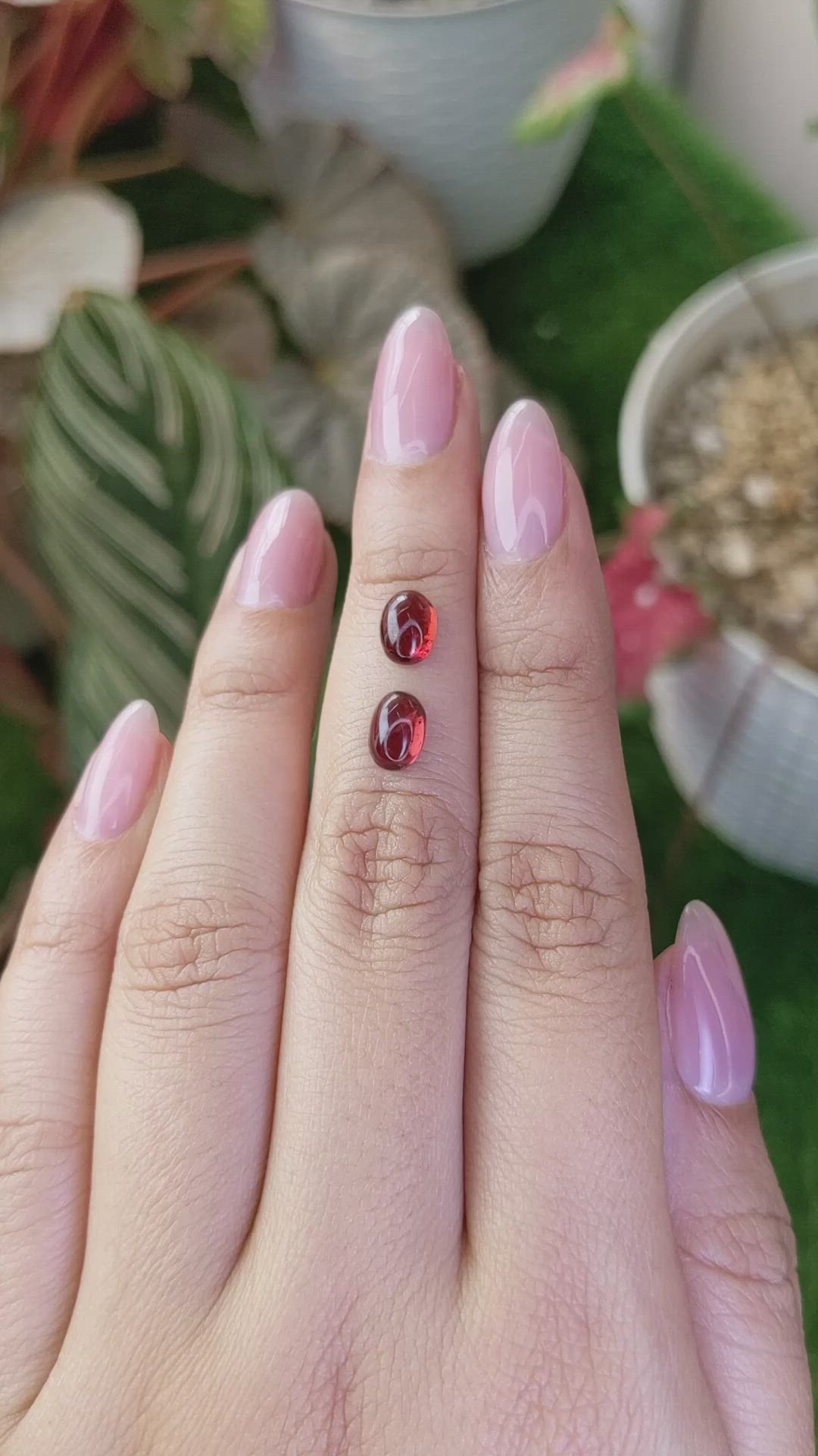 2.55&nbsp;Ct.Tw.Total Carat Weight Red Cabochon Rhodolite Garnet Pair from Ceylon (Sri Lanka) Size Video