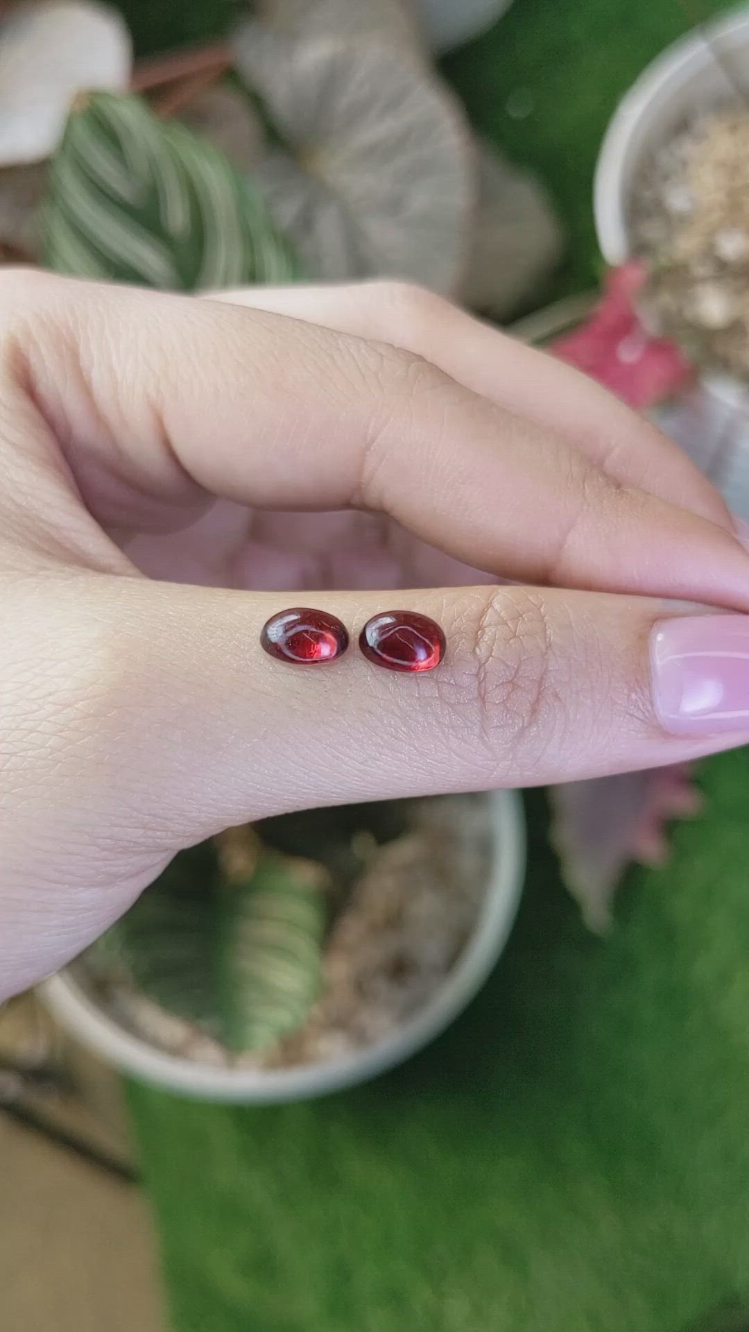 2.48 Ct.Tw.Total Carat Weight Red Cabochon Rhodolite Garnet Pair from Ceylon (Sri Lanka) Size Video