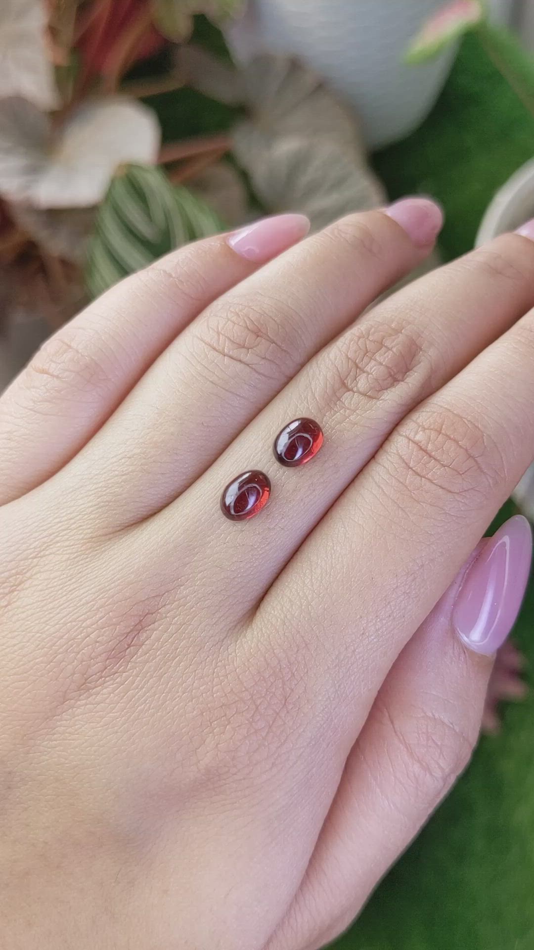 2.48 Ct.Tw.Total Carat Weight Red Cabochon Rhodolite Garnet Pair from Ceylon (Sri Lanka) Size Video