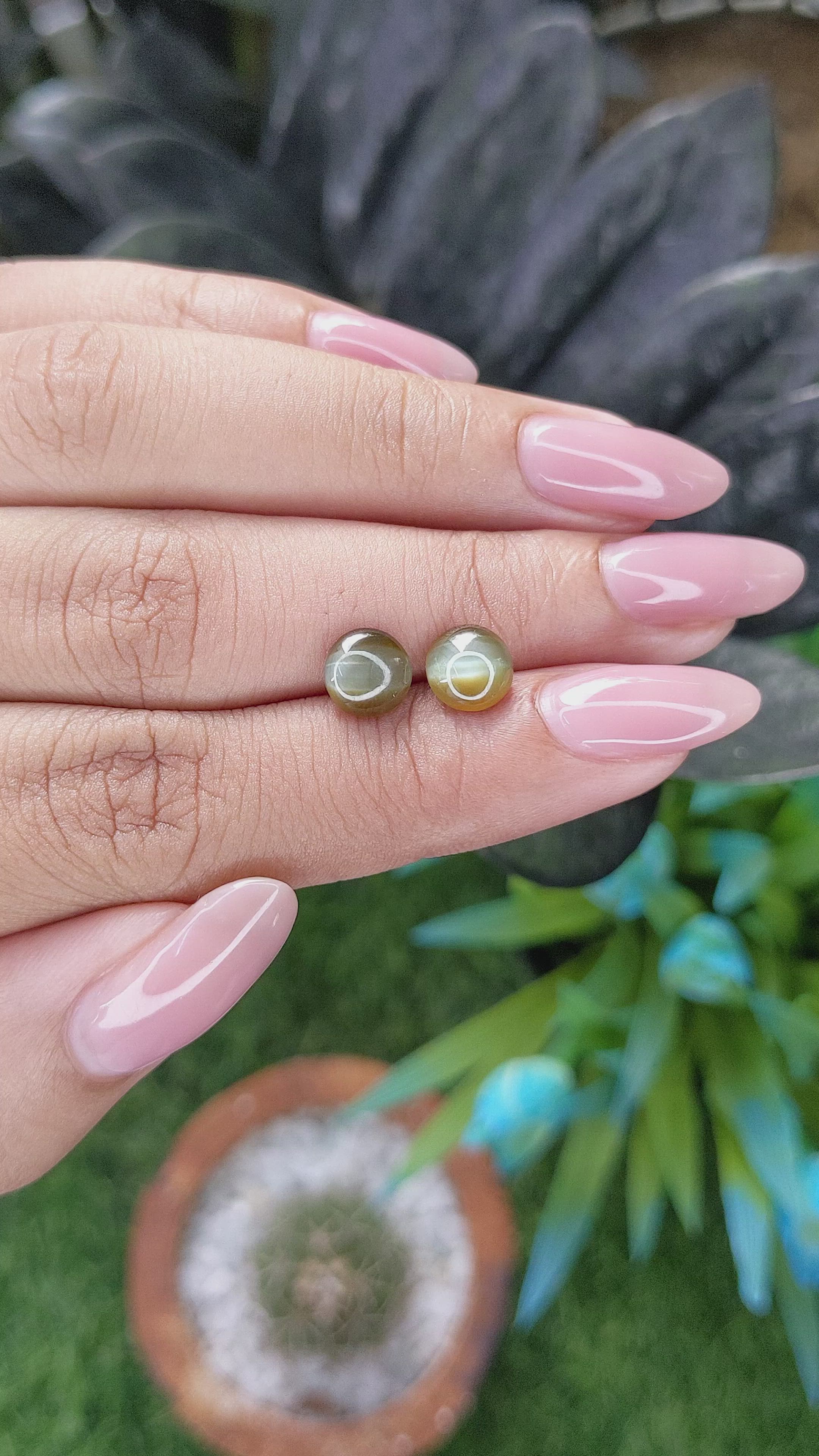 3.06 Ct.Tw.Total Carat Weight Greenish Brown Cabochon Chrysoberyl Pair from Ceylon (Sri Lanka) Size Video
