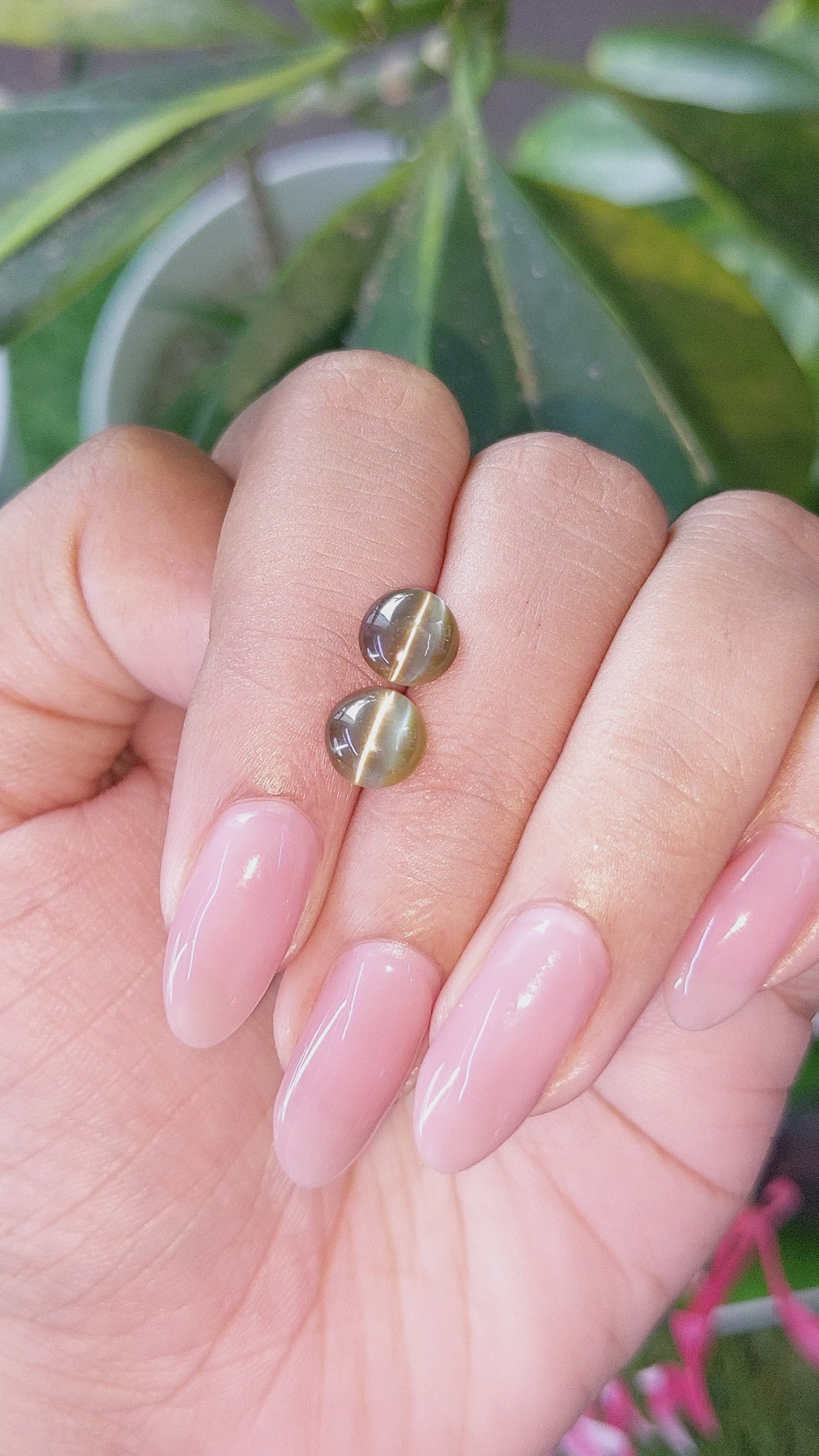 3.06 Ct.Tw.Total Carat Weight Greenish Brown Cabochon Chrysoberyl Pair from Ceylon (Sri Lanka) Size Video