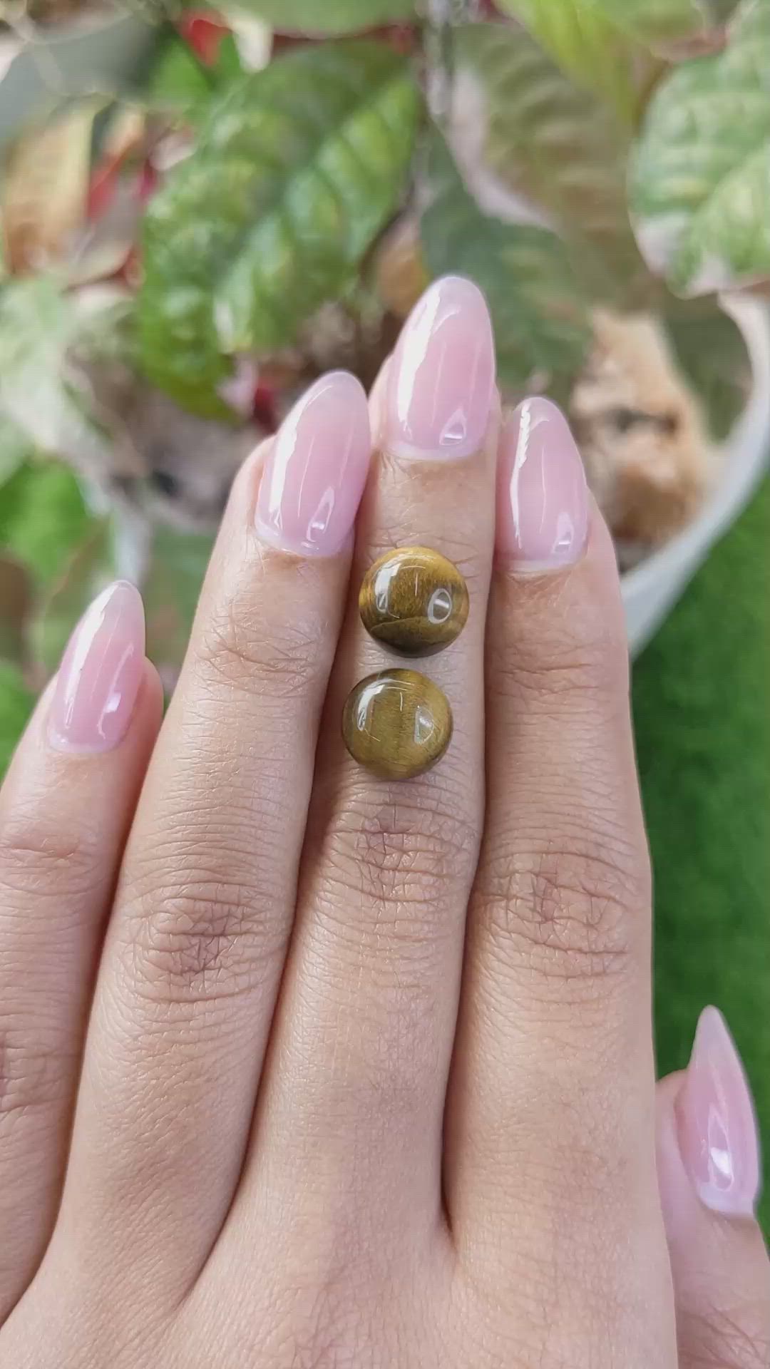 8.44&nbsp;Ct.Tw.Total Carat Weight Cabochon Tiger's Eye Pair from Ceylon (Sri Lanka) Size Video