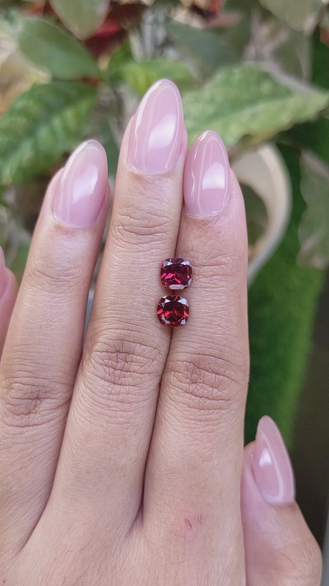 2.27&nbsp;Ct.Tw.Total Carat Weight Red Garnet Pair from Ceylon (Sri Lanka) Size Video