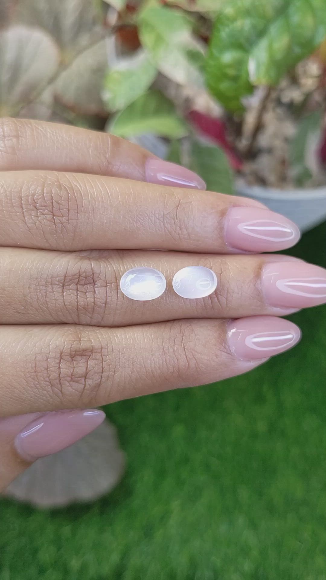3.19&nbsp;Ct.Tw.Total Carat Weight White Cabochon Moonstone Pair from Ceylon (Sri Lanka) Size Video