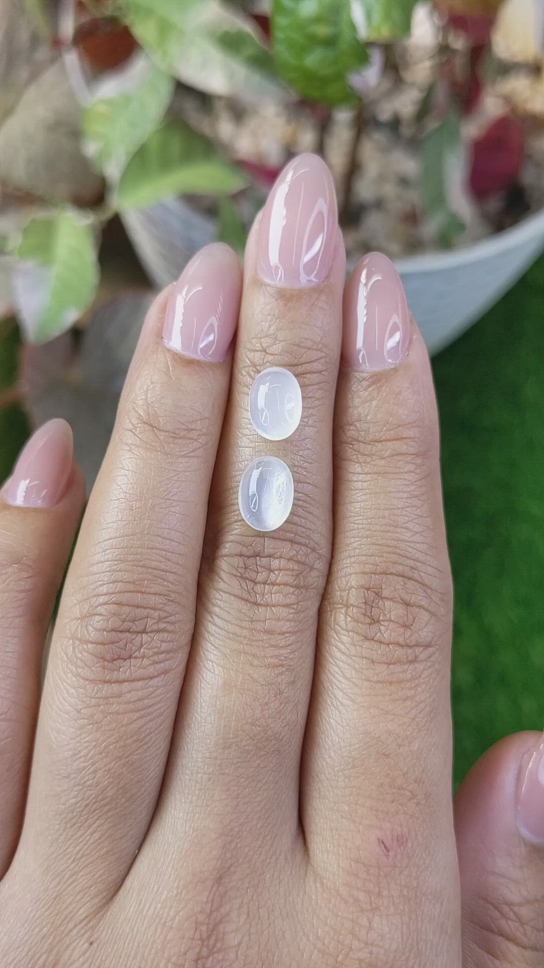 3.19&nbsp;Ct.Tw.Total Carat Weight White Cabochon Moonstone Pair from Ceylon (Sri Lanka) Size Video