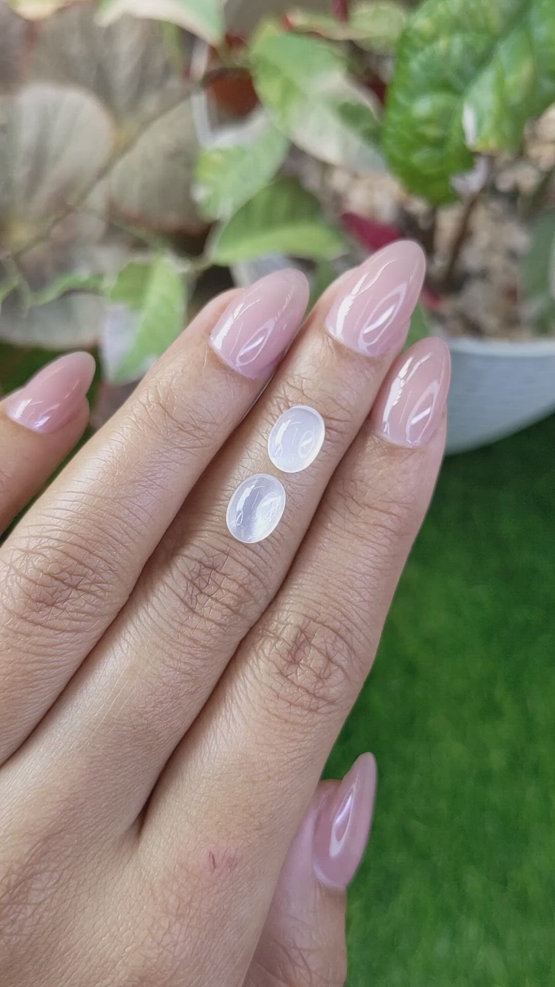 3.19&nbsp;Ct.Tw.Total Carat Weight White Cabochon Moonstone Pair from Ceylon (Sri Lanka) Size Video