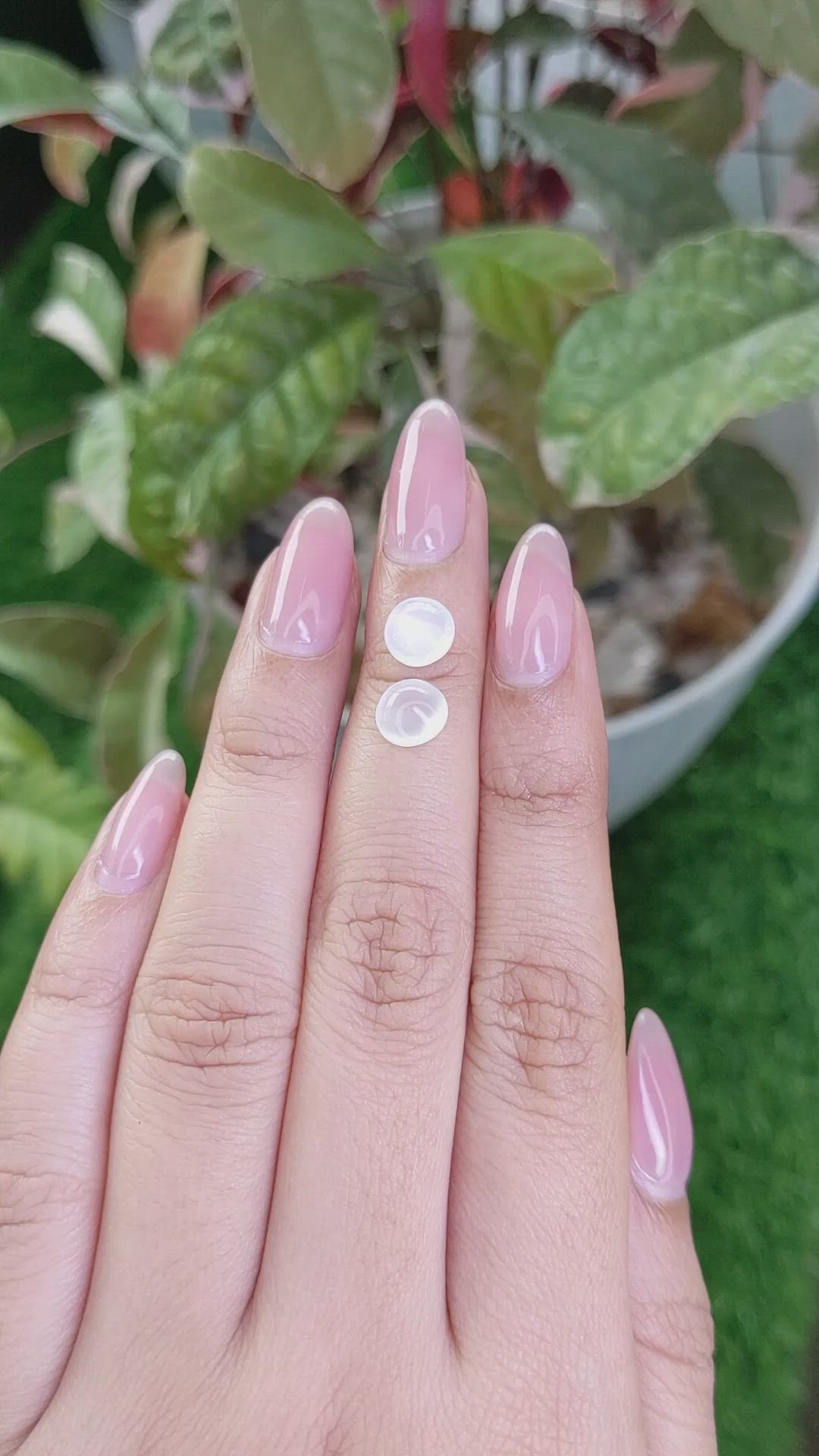 2.68 Ct.Tw.Total Carat Weight White Cabochon Moonstone Pair from Ceylon (Sri Lanka) Size Video