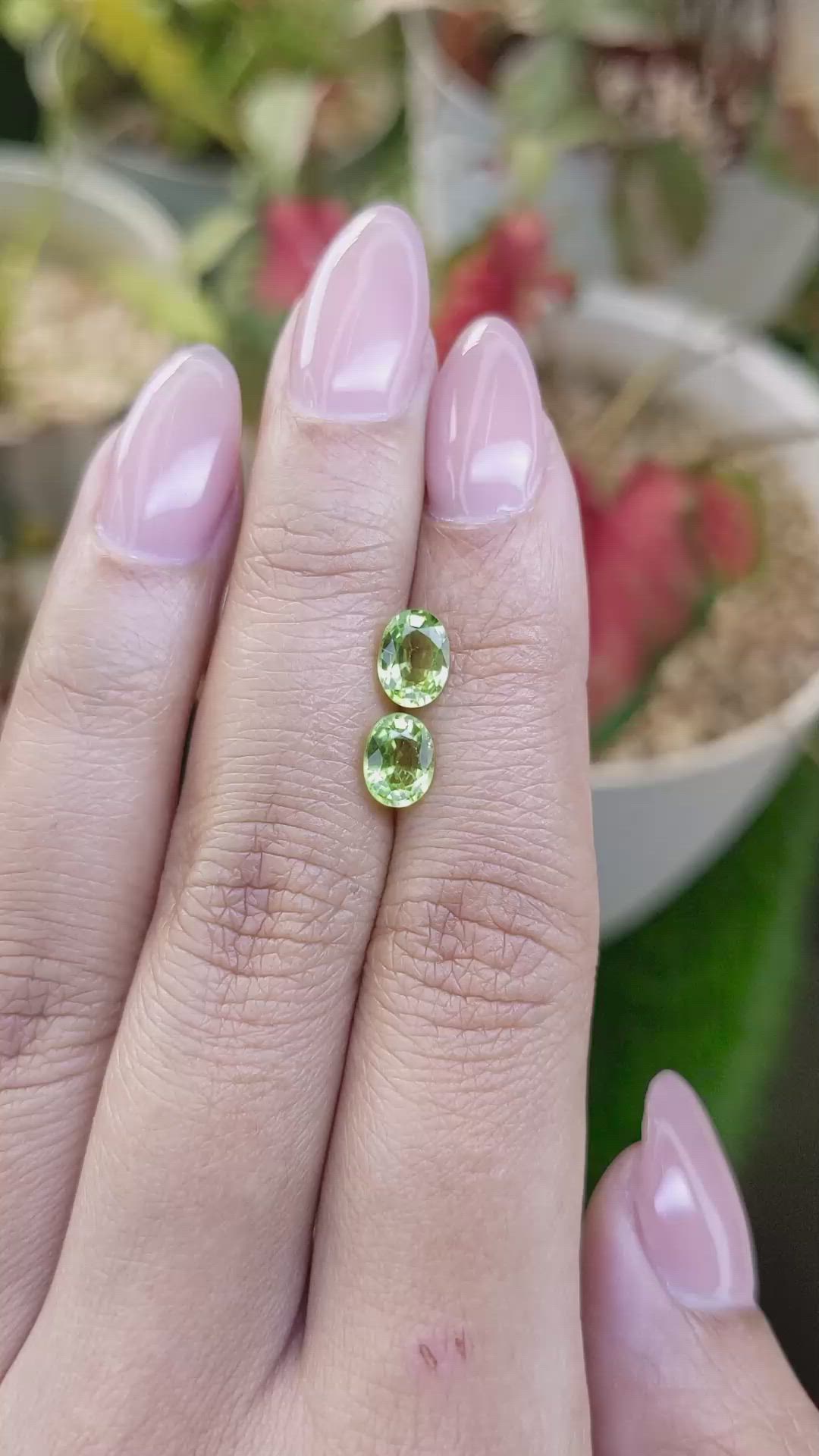 1.83 Ct.Tw.Total Carat Weight Green (Lime Green) Peridot Pair from Pakistan Size Video