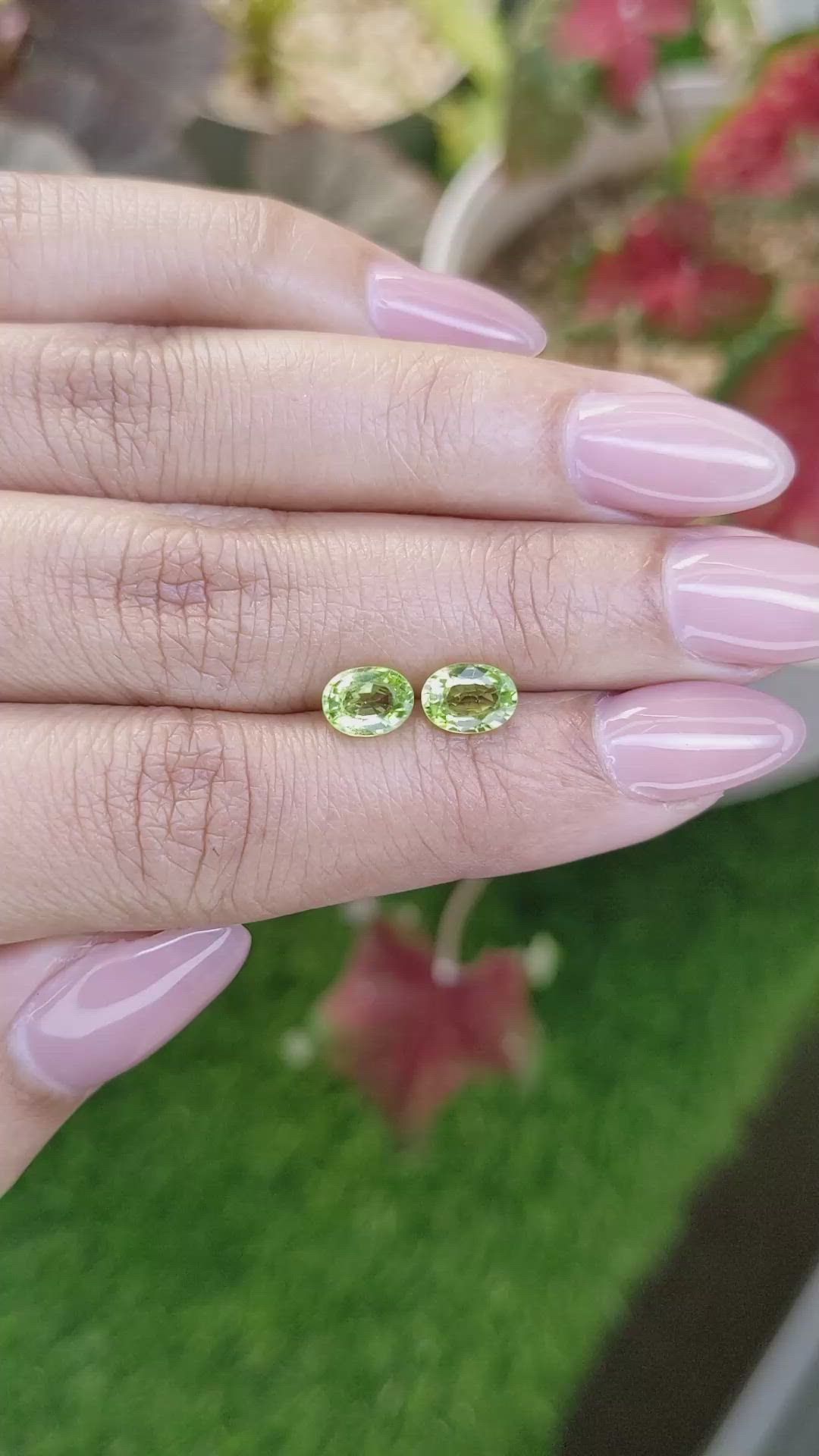 1.83 Ct.Tw.Total Carat Weight Green (Lime Green) Peridot Pair from Pakistan Size Video