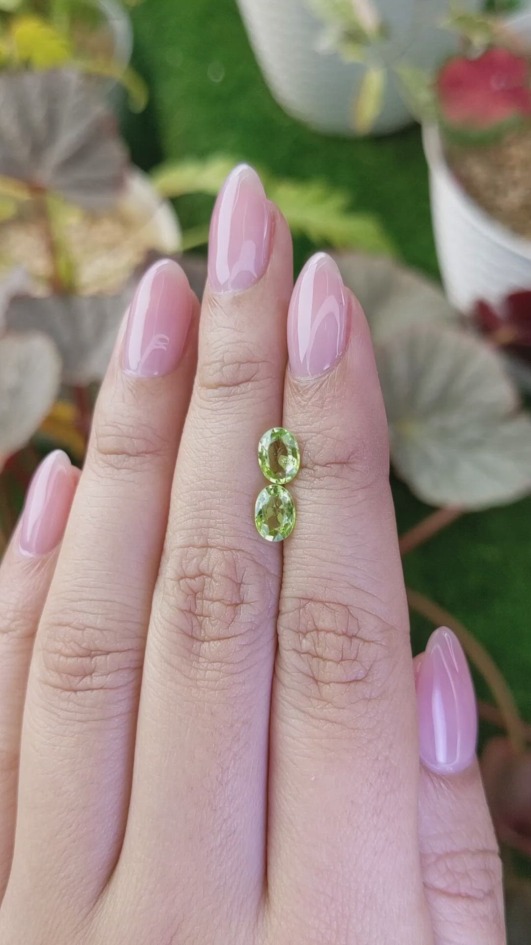 1.55 Ct.Tw.Total Carat Weight Green (Lime Green) Peridot Pair from Pakistan Size Video
