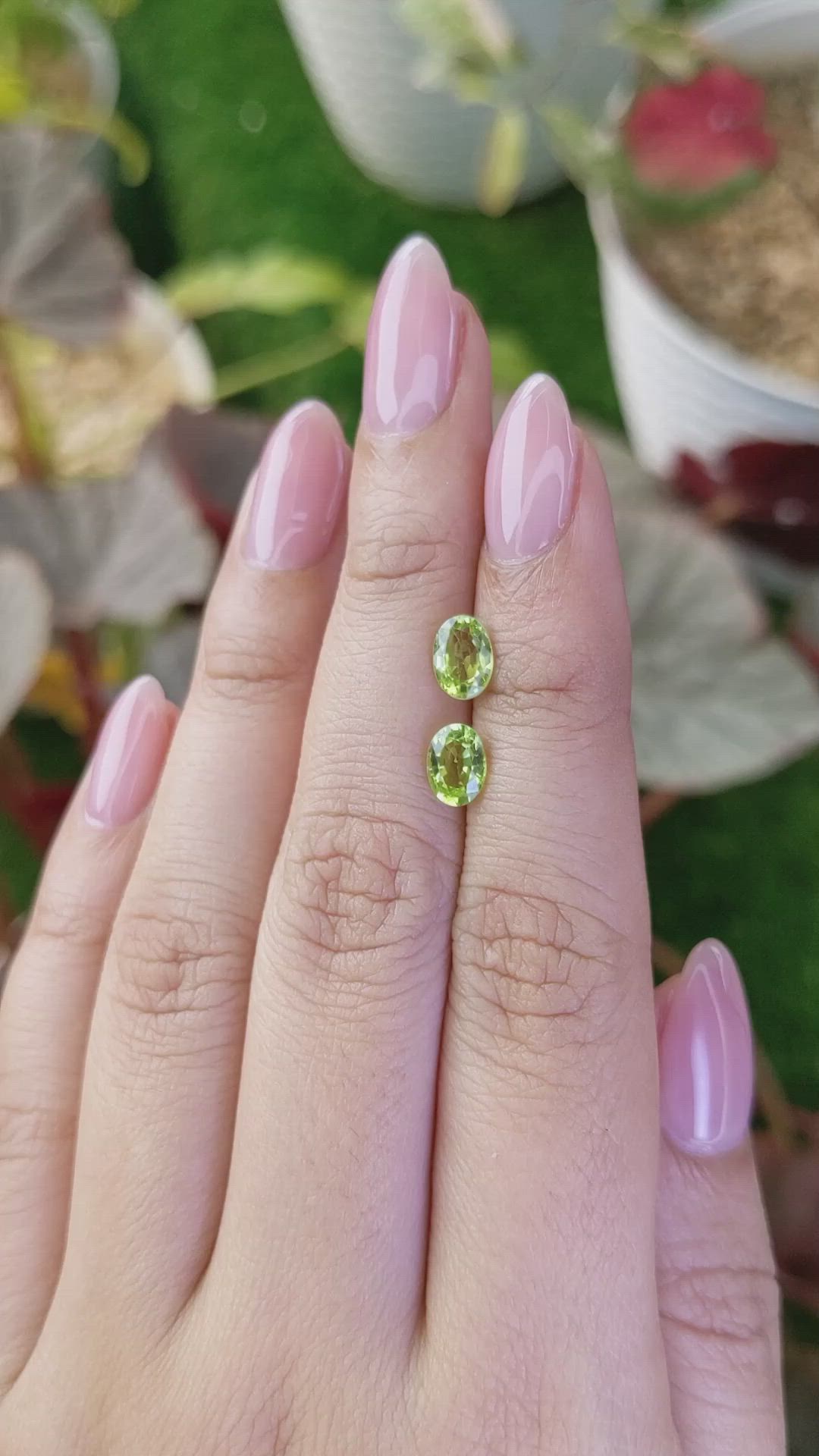 1.59 Ct.Tw.Total Carat Weight Yellowish Green Peridot Pair from Brazil Size Video
