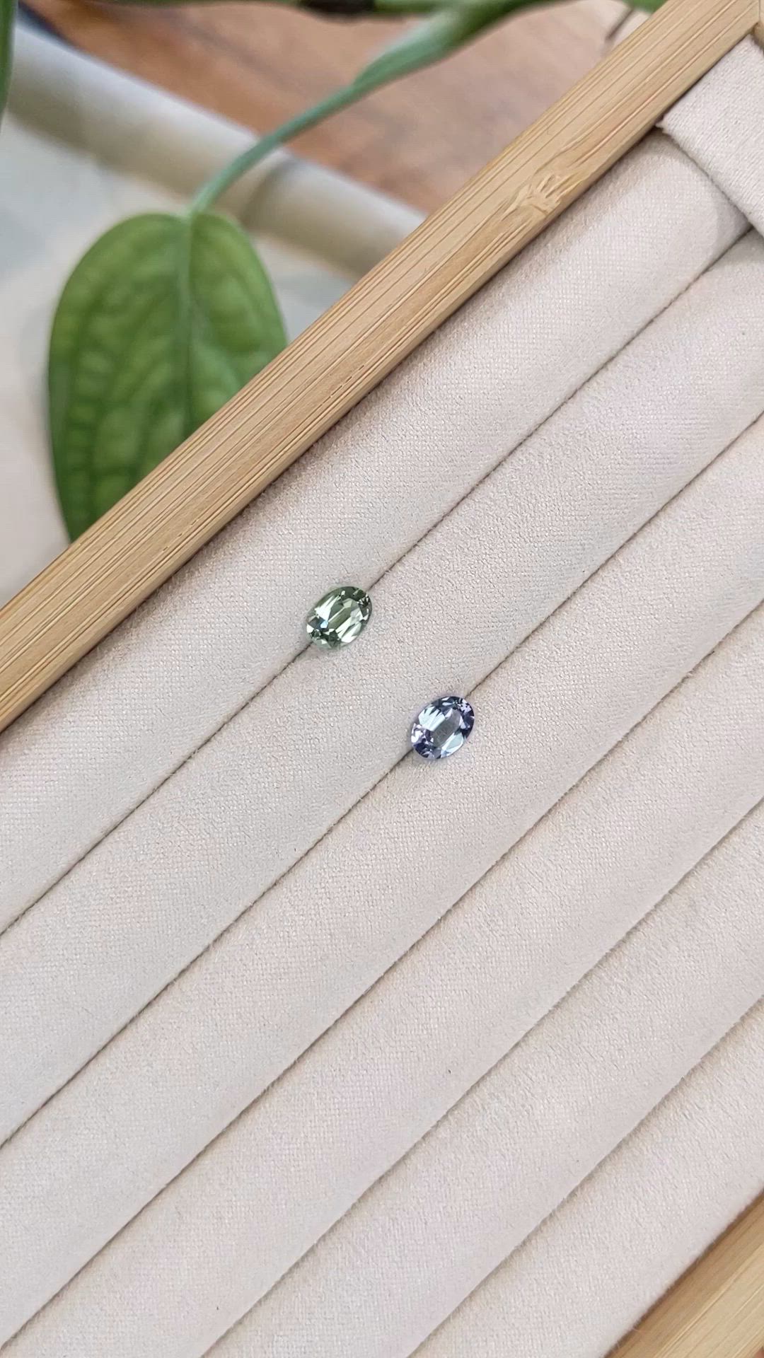 1.96&nbsp;Ct.Tw.Total Carat Weight Bi Color (Peacock) Tanzanite Pair from Tanzania Size Video