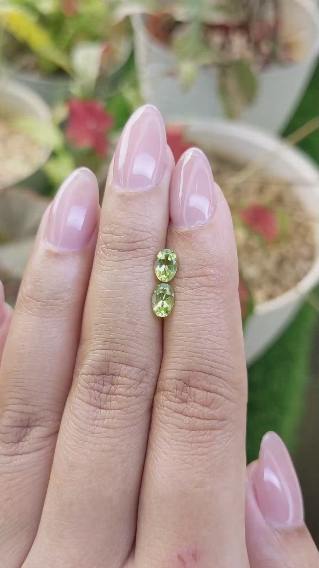 1.06 Ct.Tw.Total Carat Weight Yellowish Green Peridot Pair from Brazil Size Video