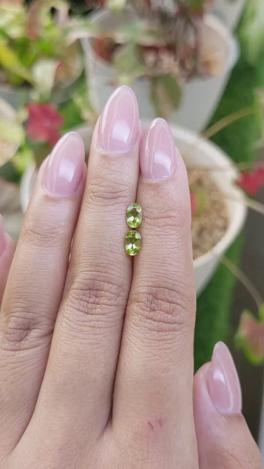 0.95 Ct.Tw.Total Carat Weight Yellowish Green Peridot Pair from Brazil Size Video