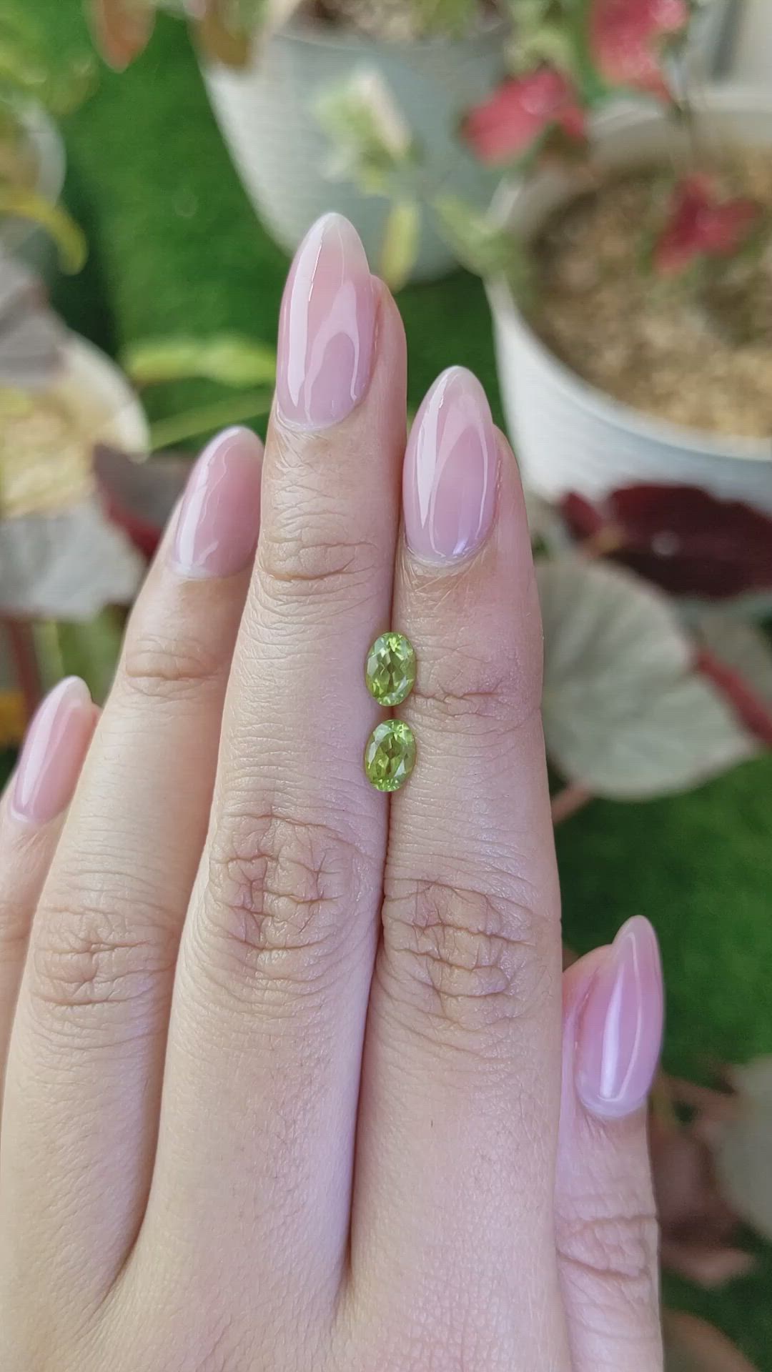 1.07&nbsp;Ct.Tw.Total Carat Weight Yellowish Green Peridot Pair from Brazil Size Video