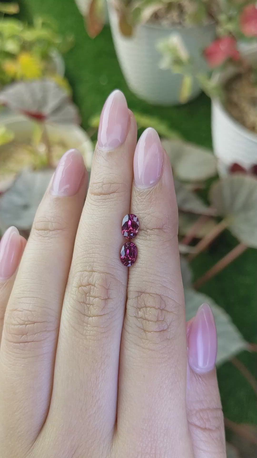 1.56&nbsp;Ct.Tw.Total Carat Weight Purplish Pink Rhodolite Garnet Pair from Ceylon (Sri Lanka) Size Video