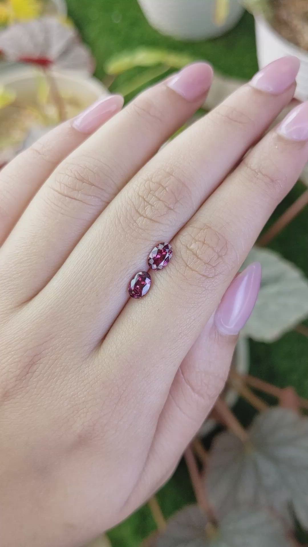 1.56&nbsp;Ct.Tw.Total Carat Weight Purplish Pink Rhodolite Garnet Pair from Ceylon (Sri Lanka) Size Video