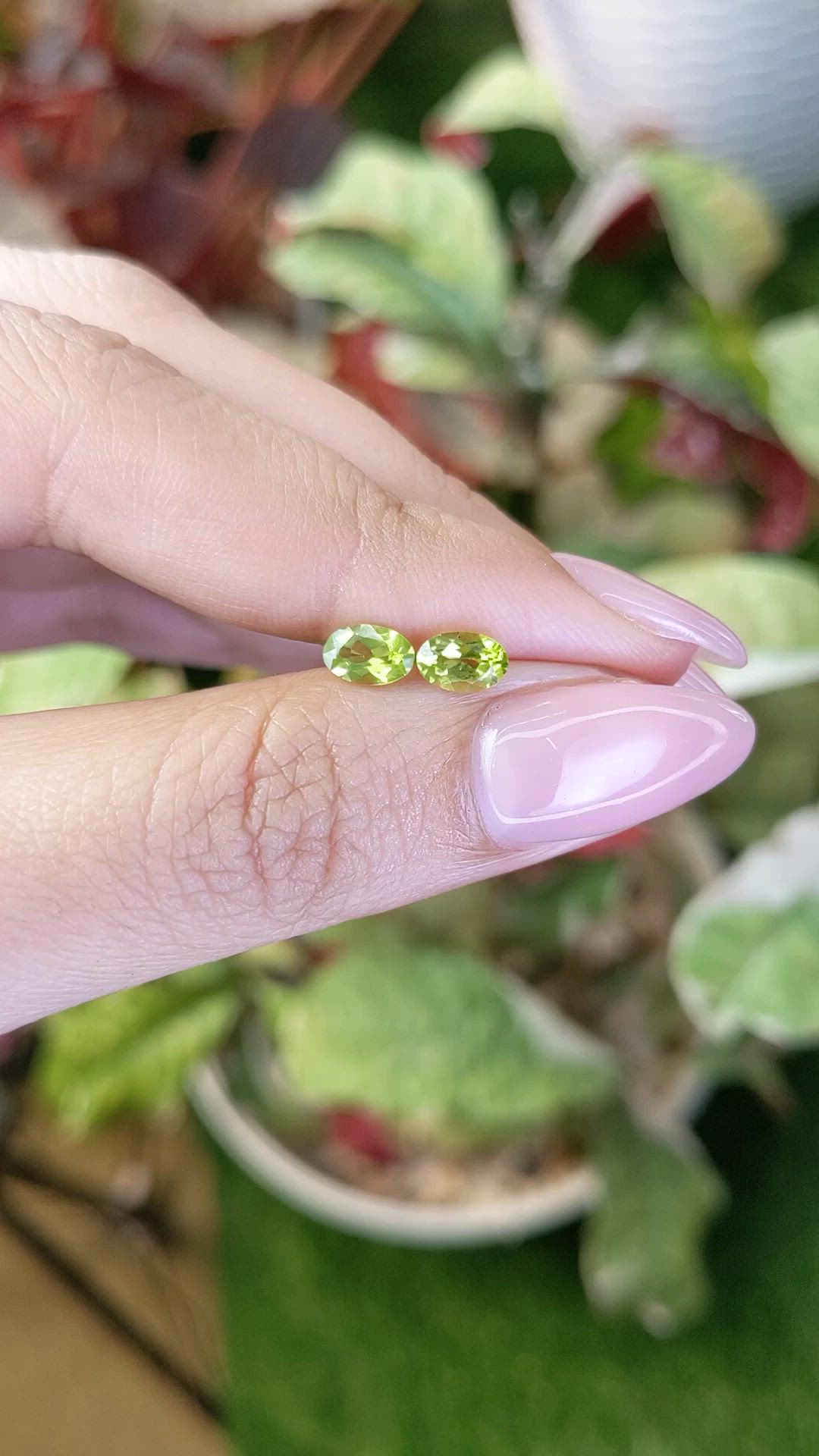 0.97 Ct.Tw.Total Carat Weight Yellowish Green Peridot Pair from Pakistan Size Video
