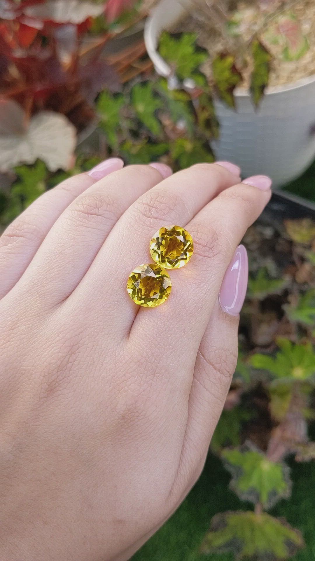 10.18 Ct.Tw.Total Carat Weight Yellow Citrine Pair from Brazil Size Video