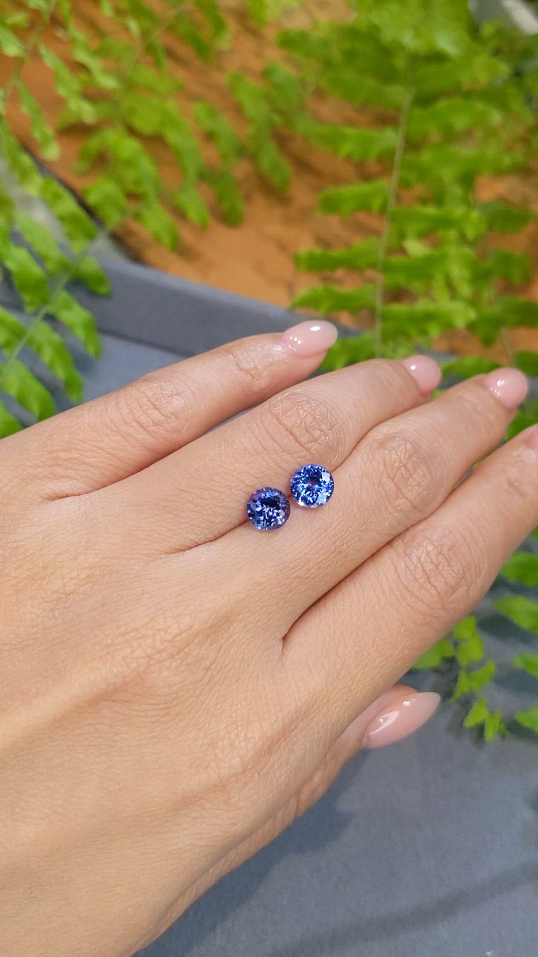 2.62 Ct.Tw.Total Carat Weight Violetish Blue Tanzanite Pair from Tanzania Size Video