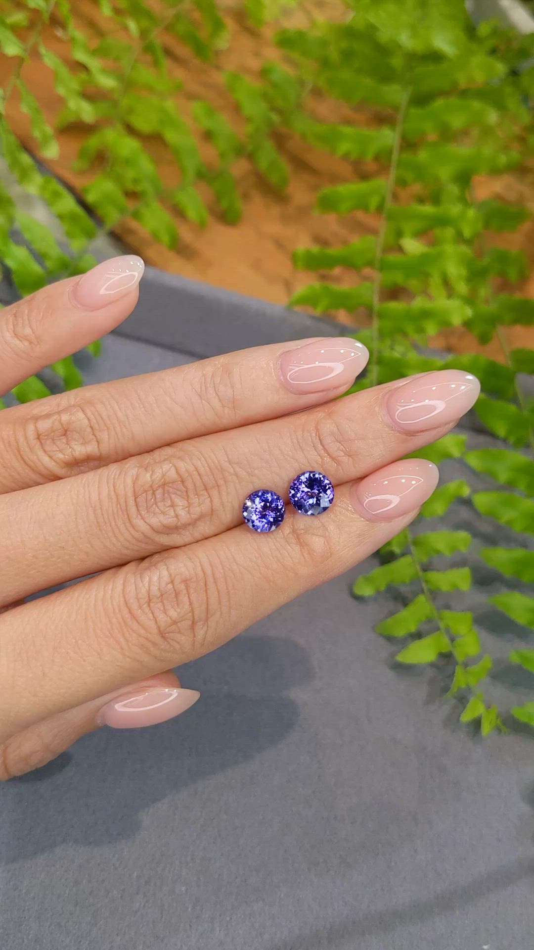2.73 Ct.Tw.Total Carat Weight Violetish Blue Tanzanite Pair from Tanzania Size Video