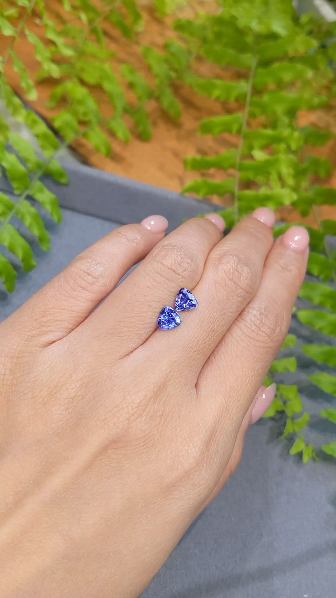 1.75&nbsp;Ct.Tw.Total Carat Weight Violetish Blue Tanzanite Pair from Tanzania Size Video