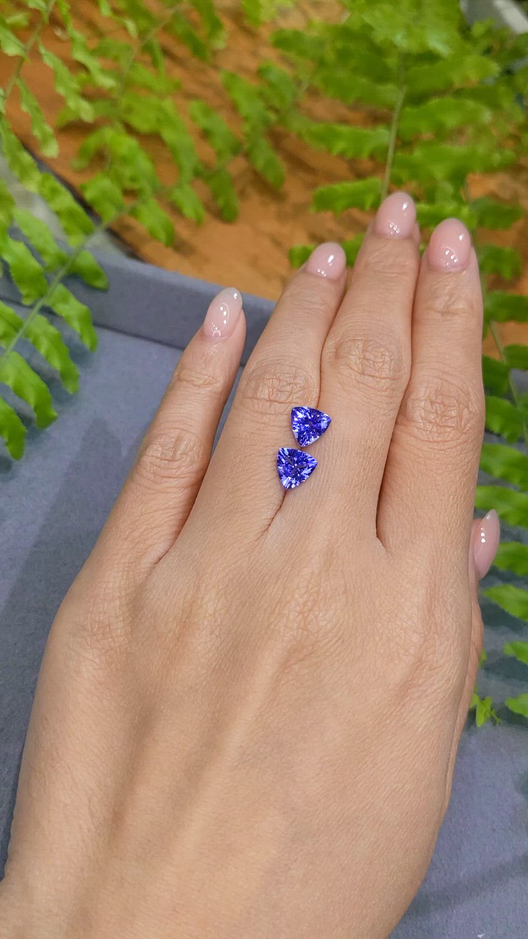 2.28 Ct.Tw.Total Carat Weight Violetish Blue Tanzanite Pair from Tanzania Size Video