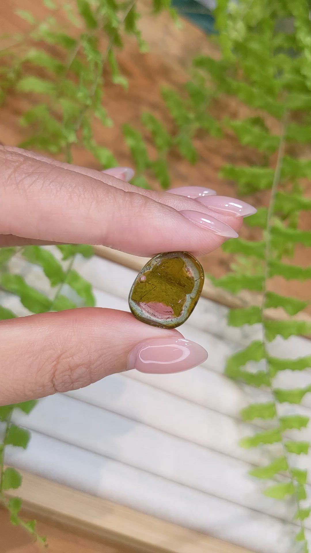 13.83 Ct.Tw.Total Carat Weight Watermelon Tourmaline Pair from Mozambique Size Video