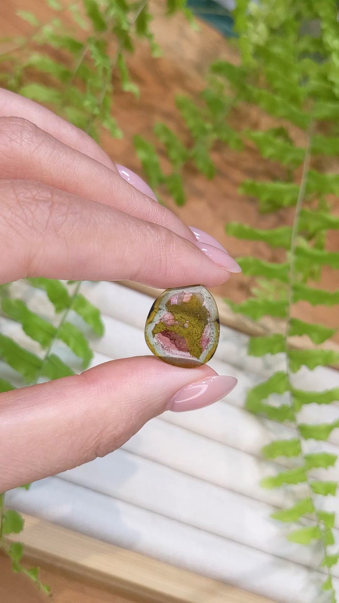 13.83 Ct.Tw.Total Carat Weight Watermelon Tourmaline Pair from Mozambique Size Video