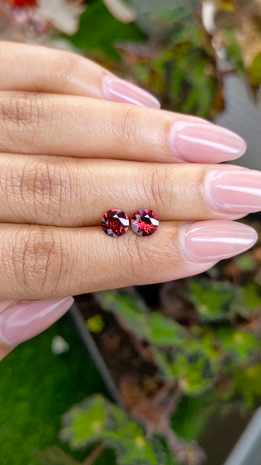 1.76&nbsp;Ct.Tw.Total Carat Weight Red Garnet Pair from Ceylon (Sri Lanka) Size Video