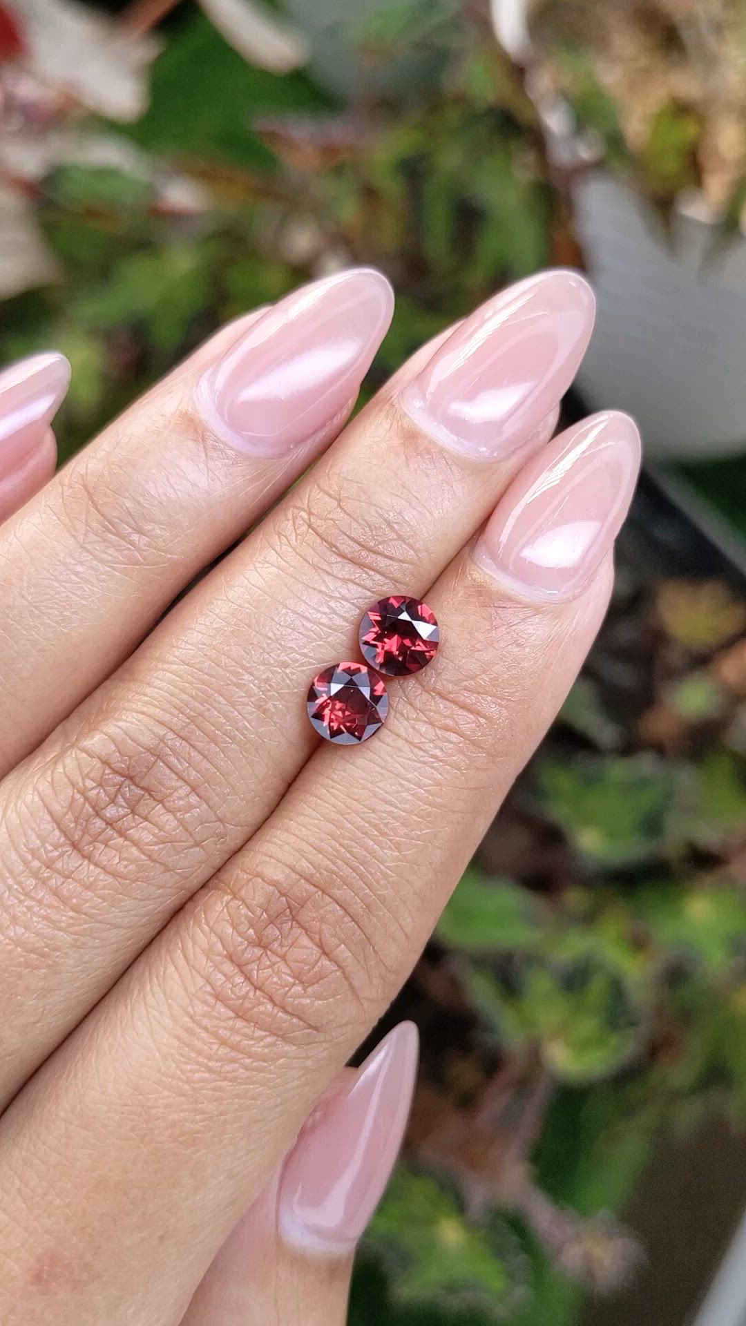 1.76&nbsp;Ct.Tw.Total Carat Weight Red Garnet Pair from Ceylon (Sri Lanka) Size Video