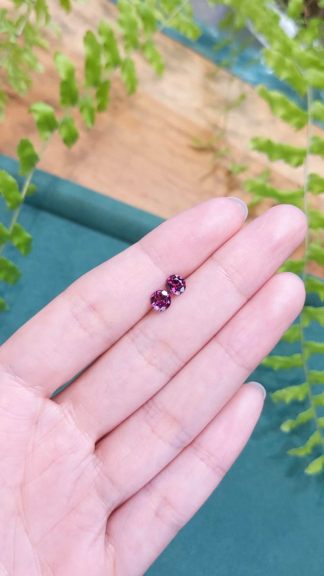 1.15&nbsp;Ct.Tw.Total Carat Weight Purplish Pink Rhodolite Garnet Pair from Tanzania Size Video