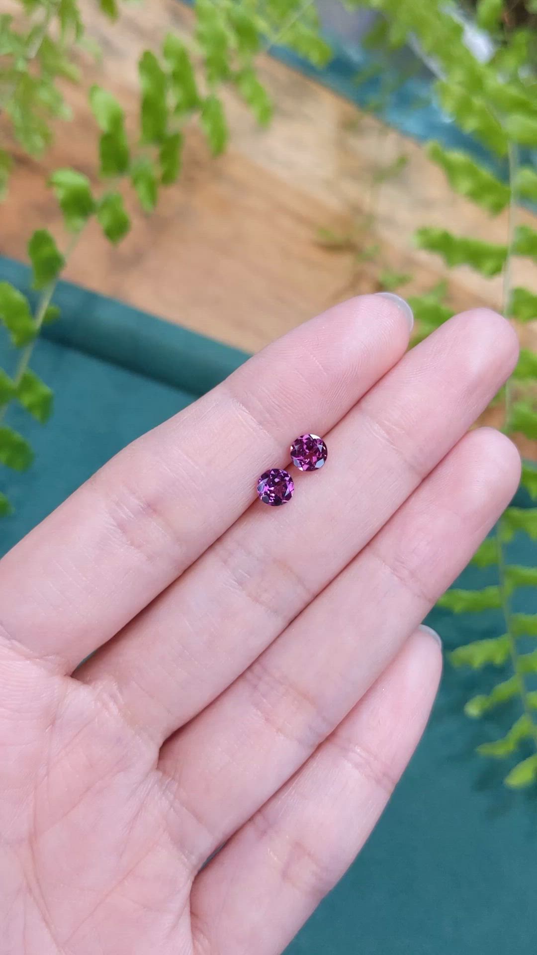1.03&nbsp;Ct.Tw.Total Carat Weight Pinkish Purple Rhodolite Garnet Pair from Tanzania Size Video