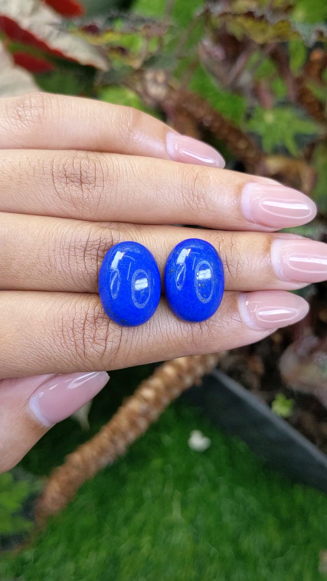 25.86 Ct.Tw.Total Carat Weight Cabochon Lapis Pair from Afghanistan Size Video