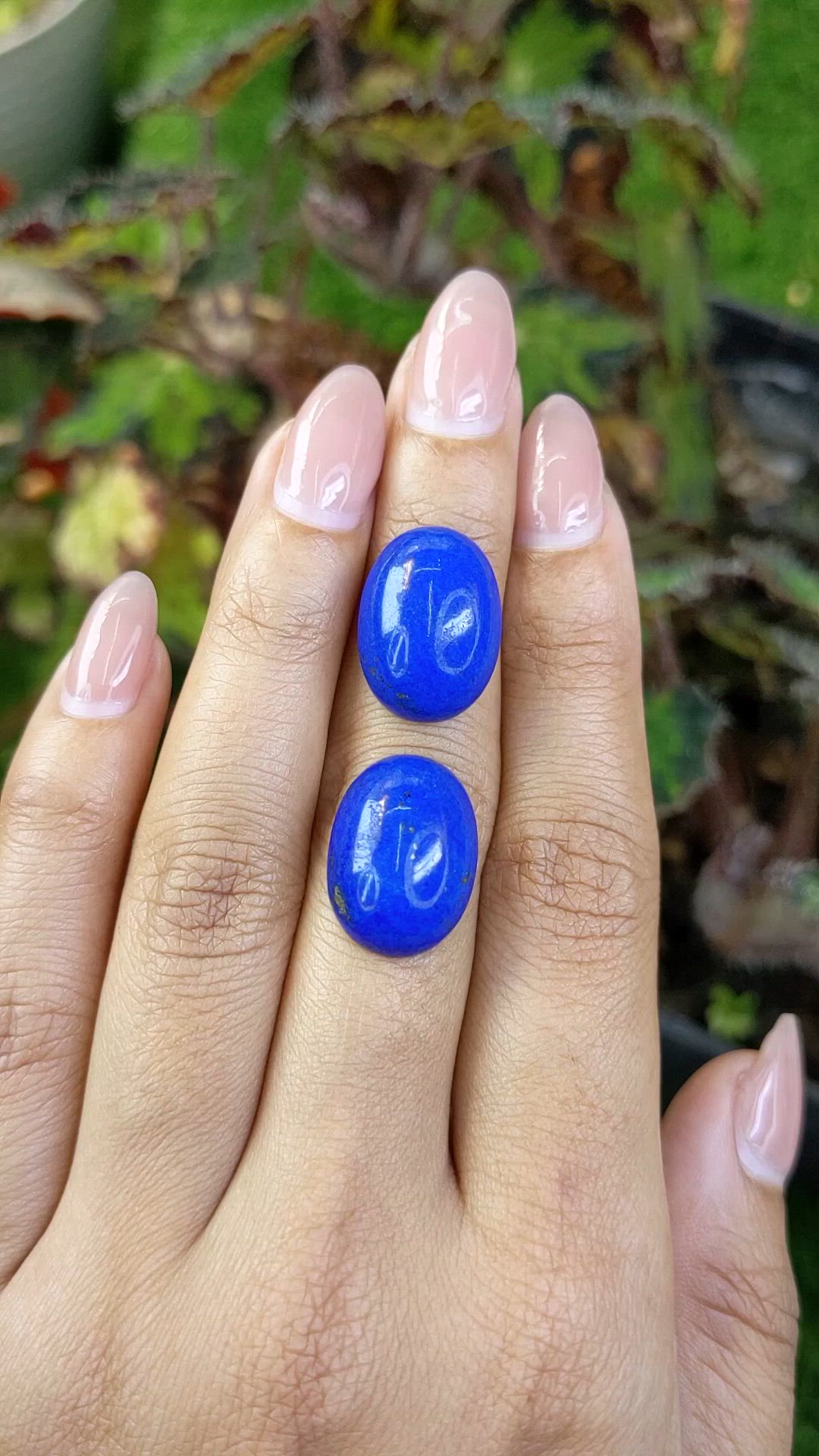 25.86 Ct.Tw.Total Carat Weight Cabochon Lapis Pair from Afghanistan Size Video