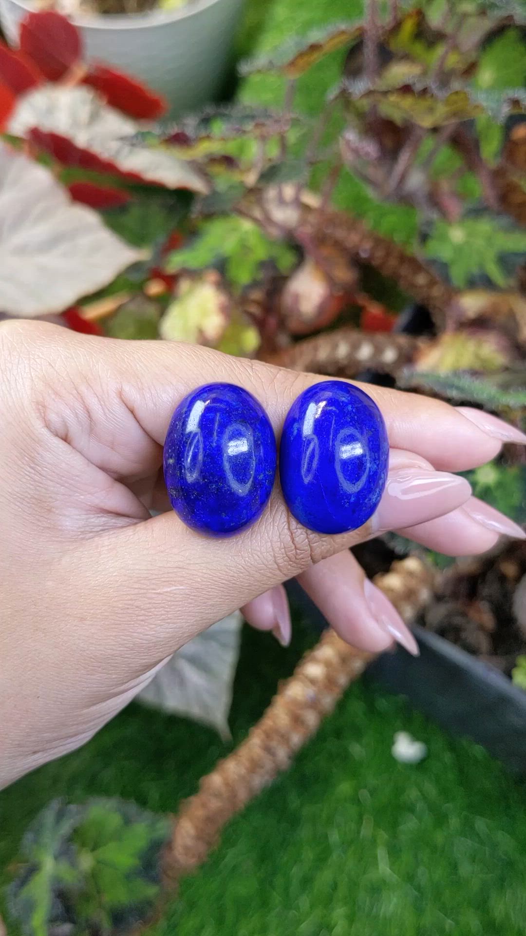 65.32&nbsp;Ct.Tw.Total Carat Weight Cabochon Lapis Pair from Afghanistan Size Video