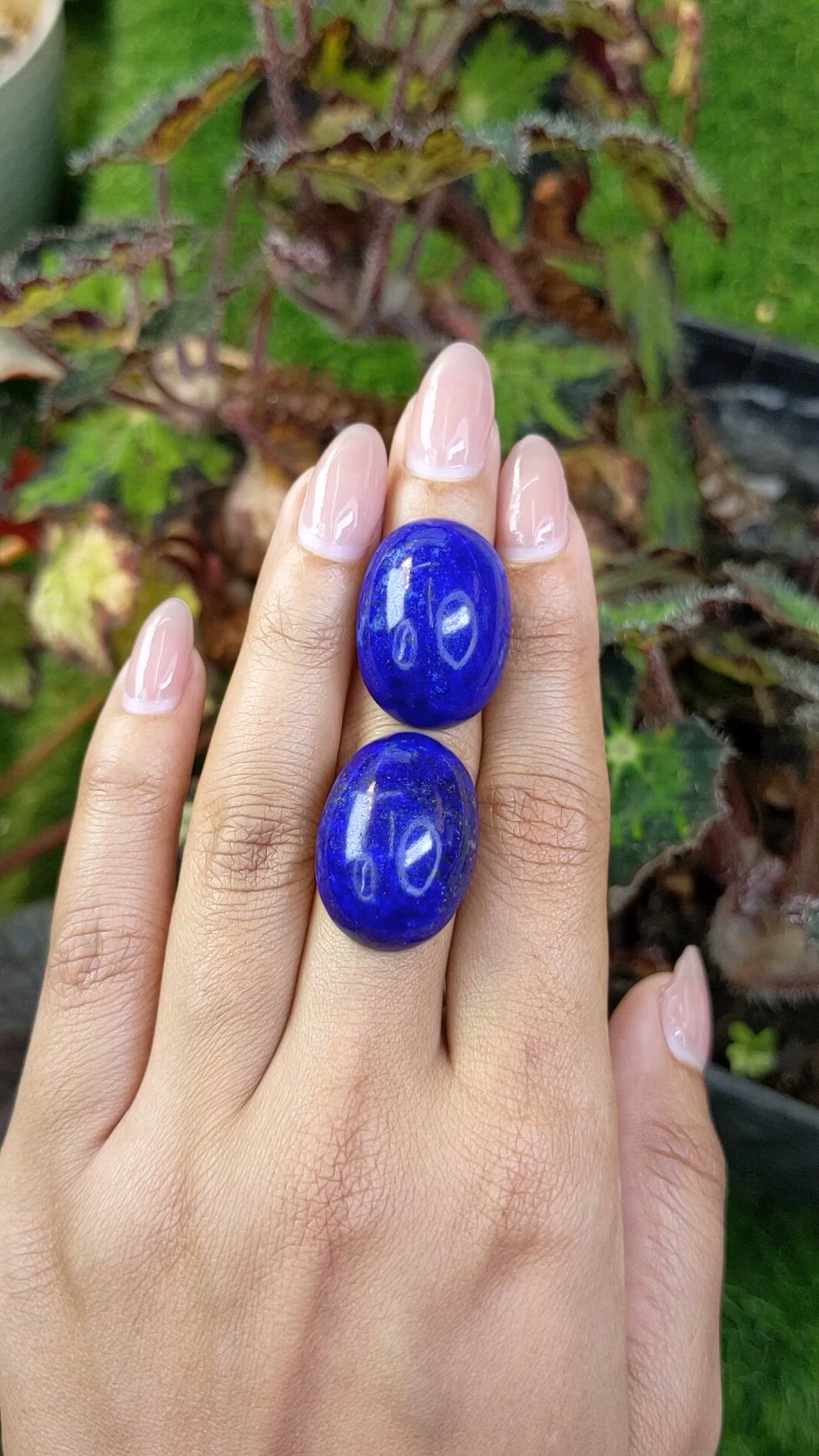 65.32&nbsp;Ct.Tw.Total Carat Weight Cabochon Lapis Pair from Afghanistan Size Video